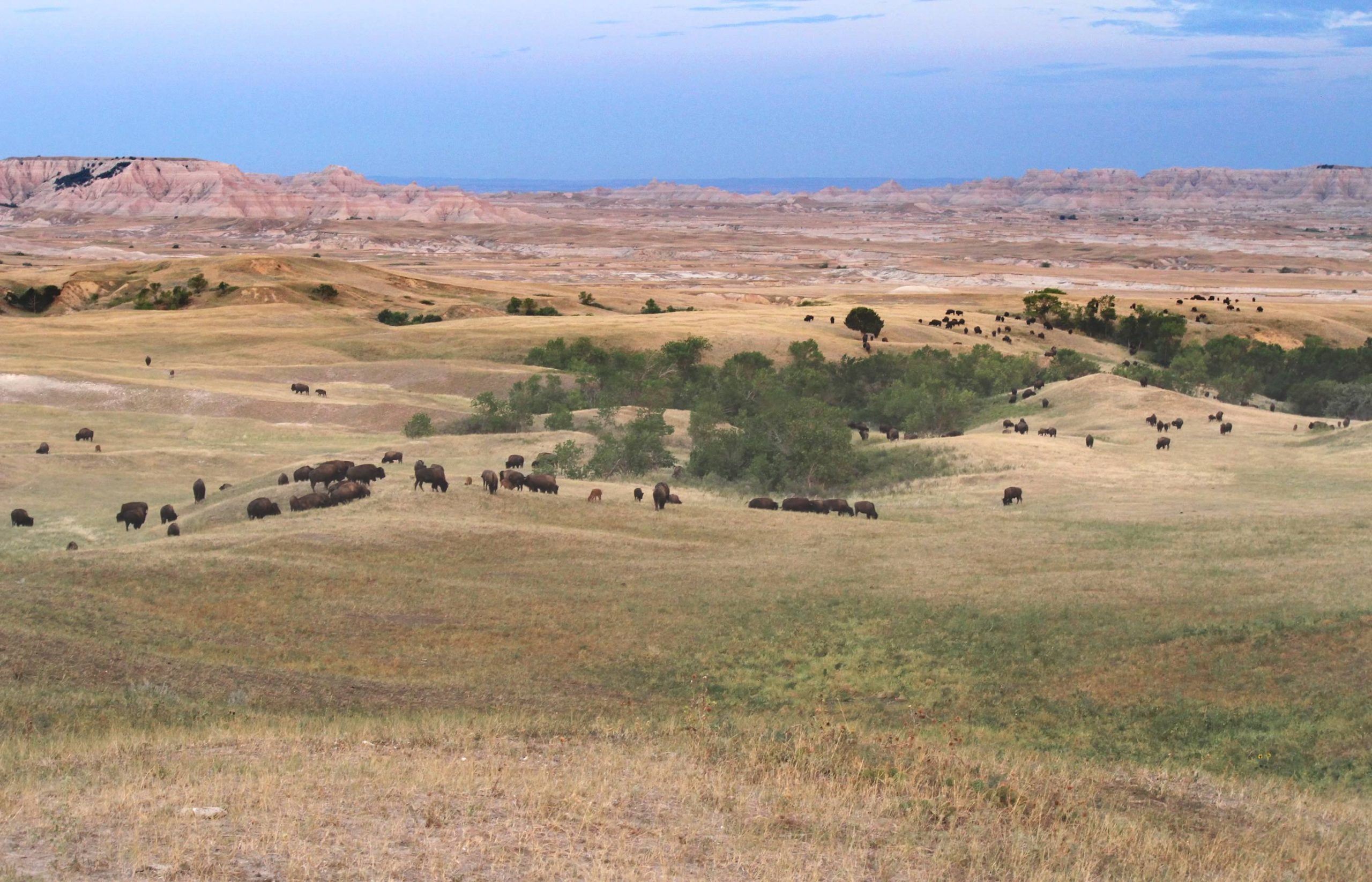 nom-mat-portfolio-badlands-08