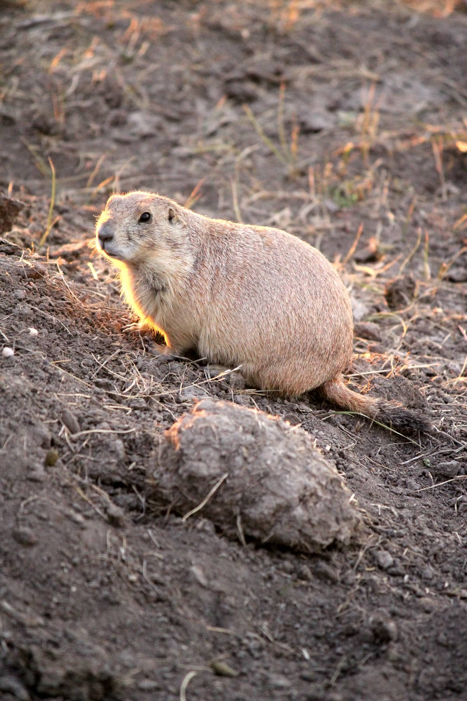 nom-mat-portfolio-badlands-09