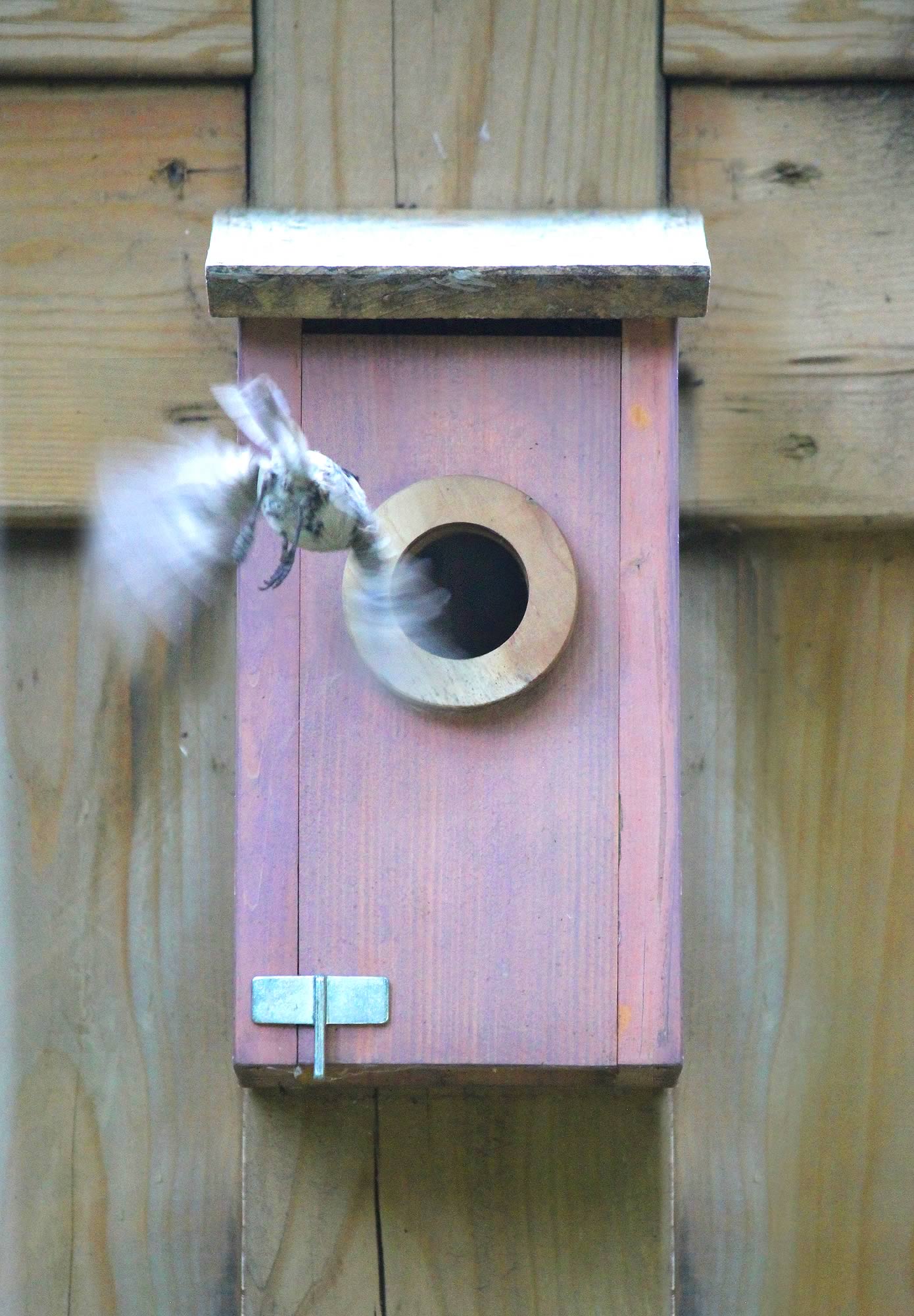 nom-mat-portfolio-birdhouses-05