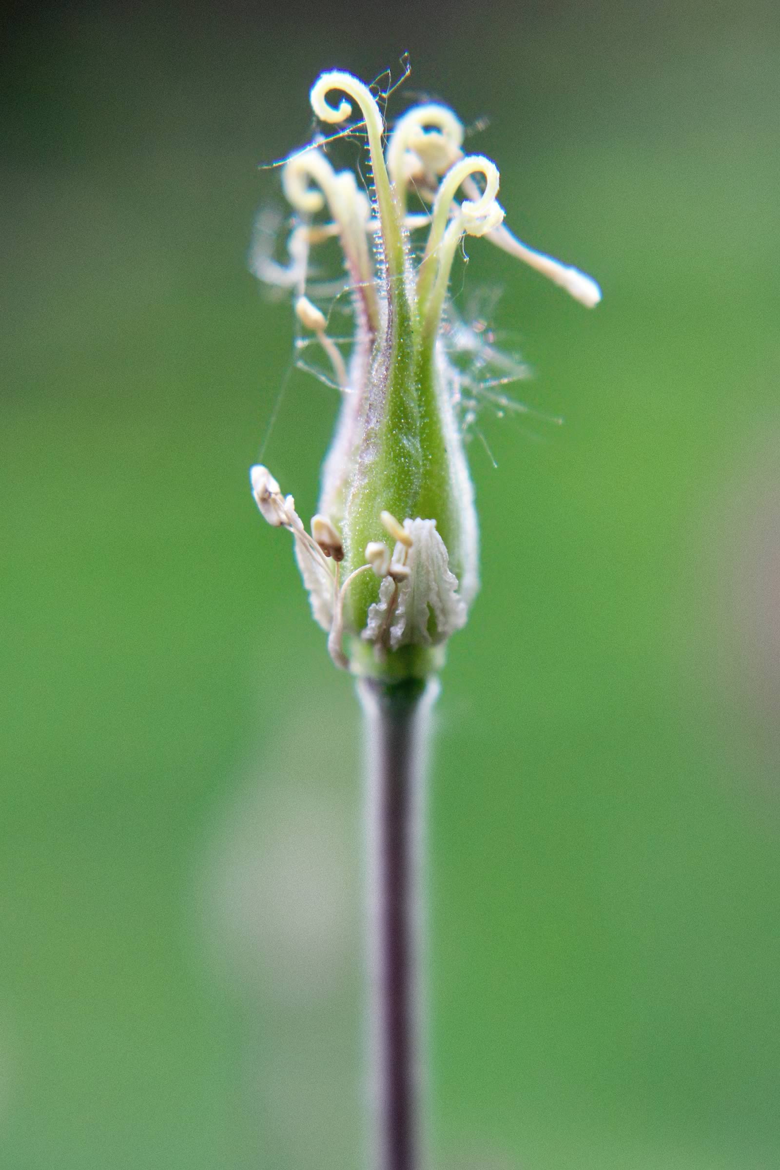 nom-mat-portfolio-smallgreen_06