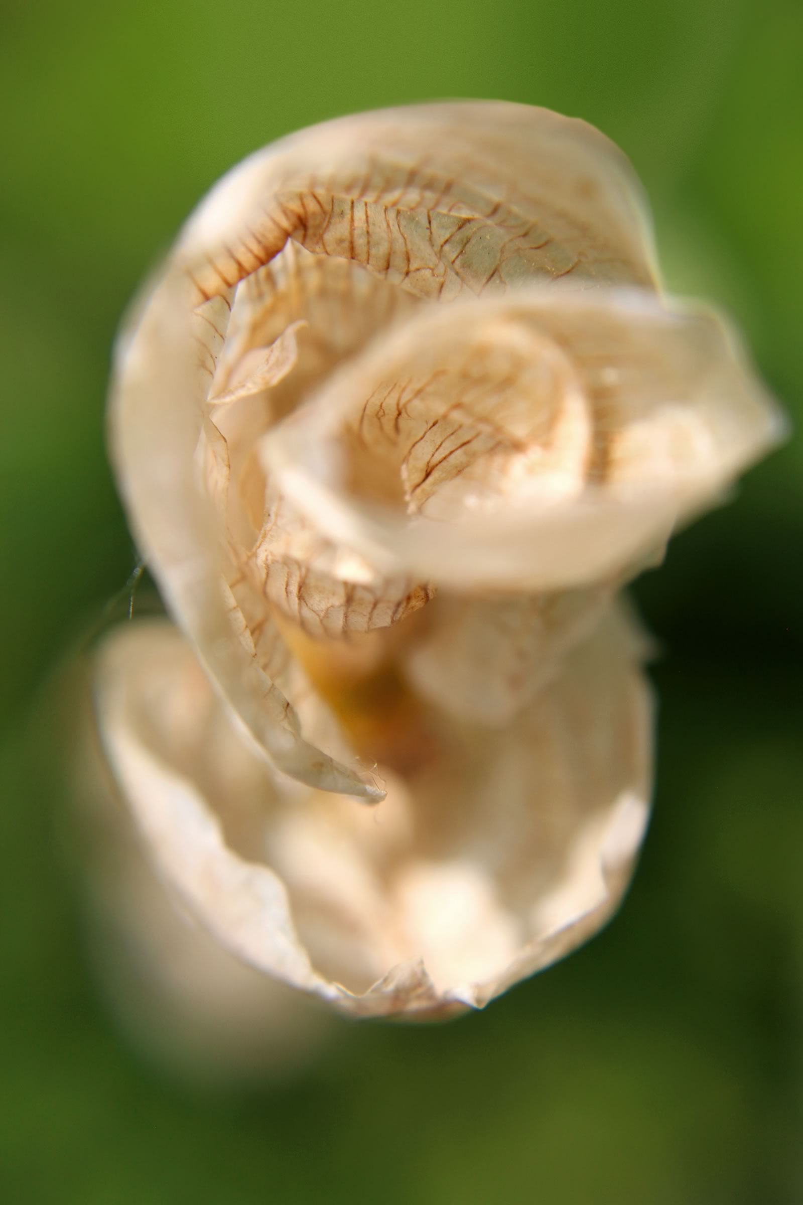 nom-mat-portfolio-smallgreen_10