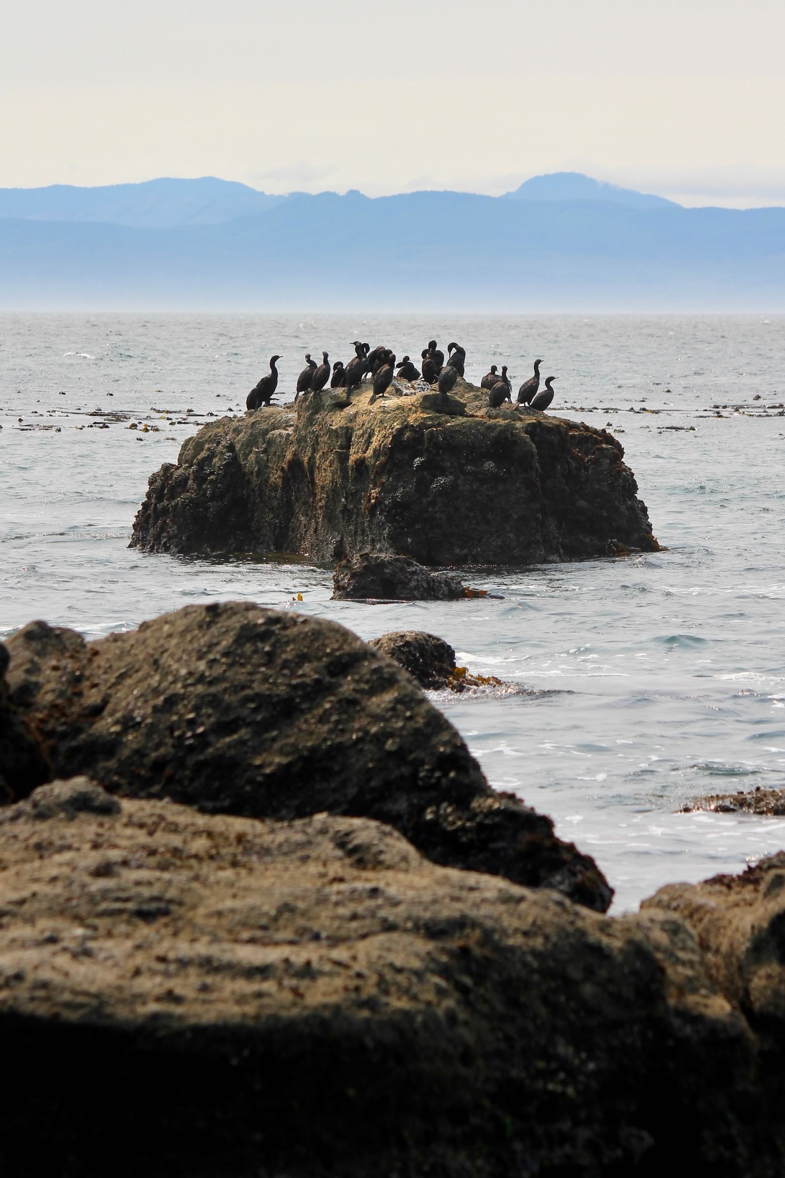 nom-mat-portfolio-vancouverisland-02