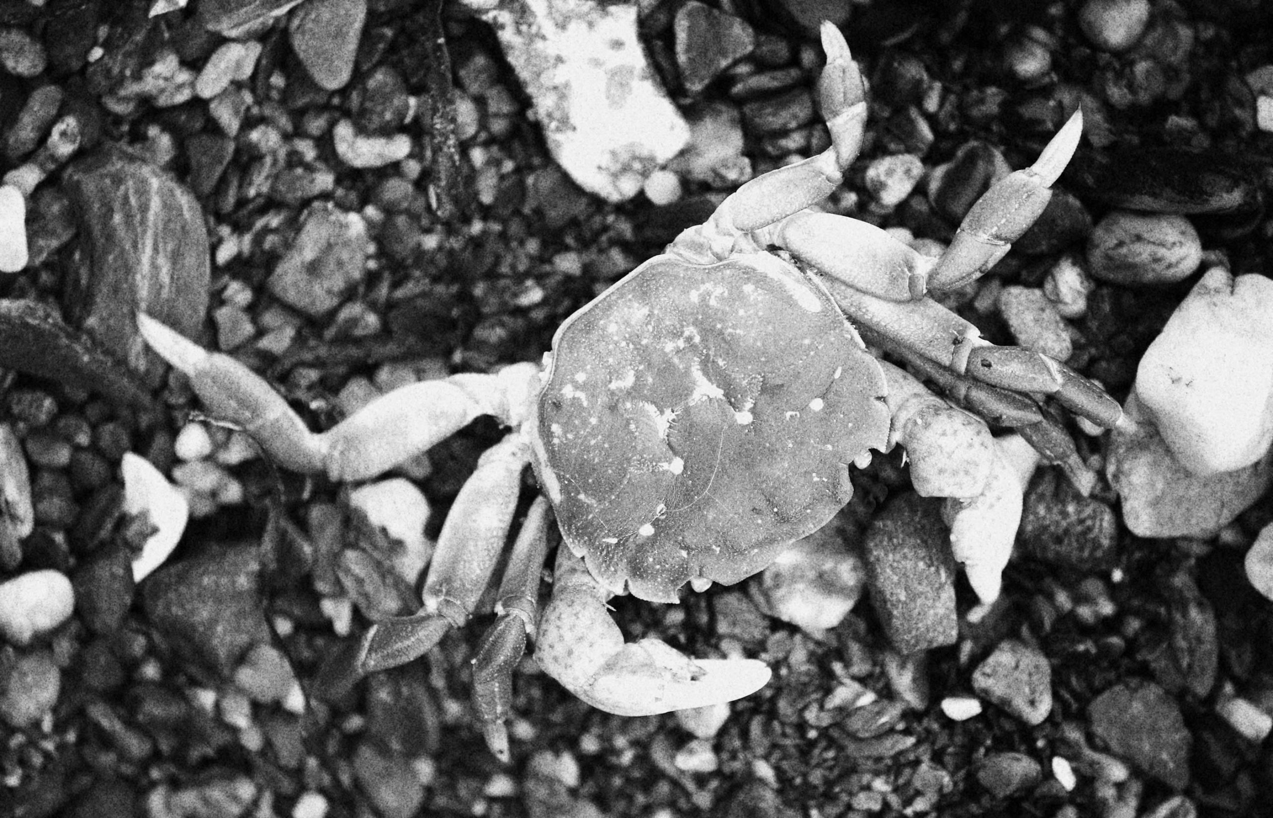 nom-mat-portfolio-vancouverisland-03