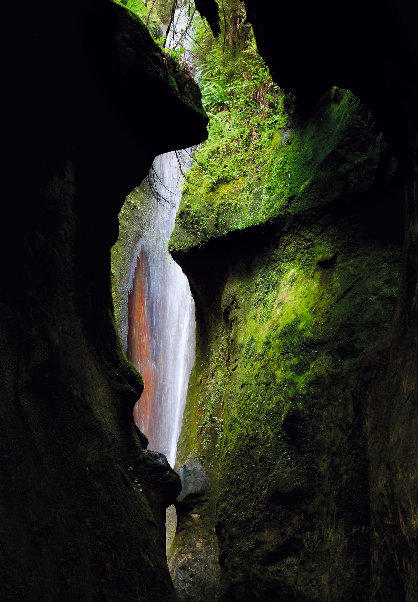 nom-mat-portfolio-vancouverisland-04