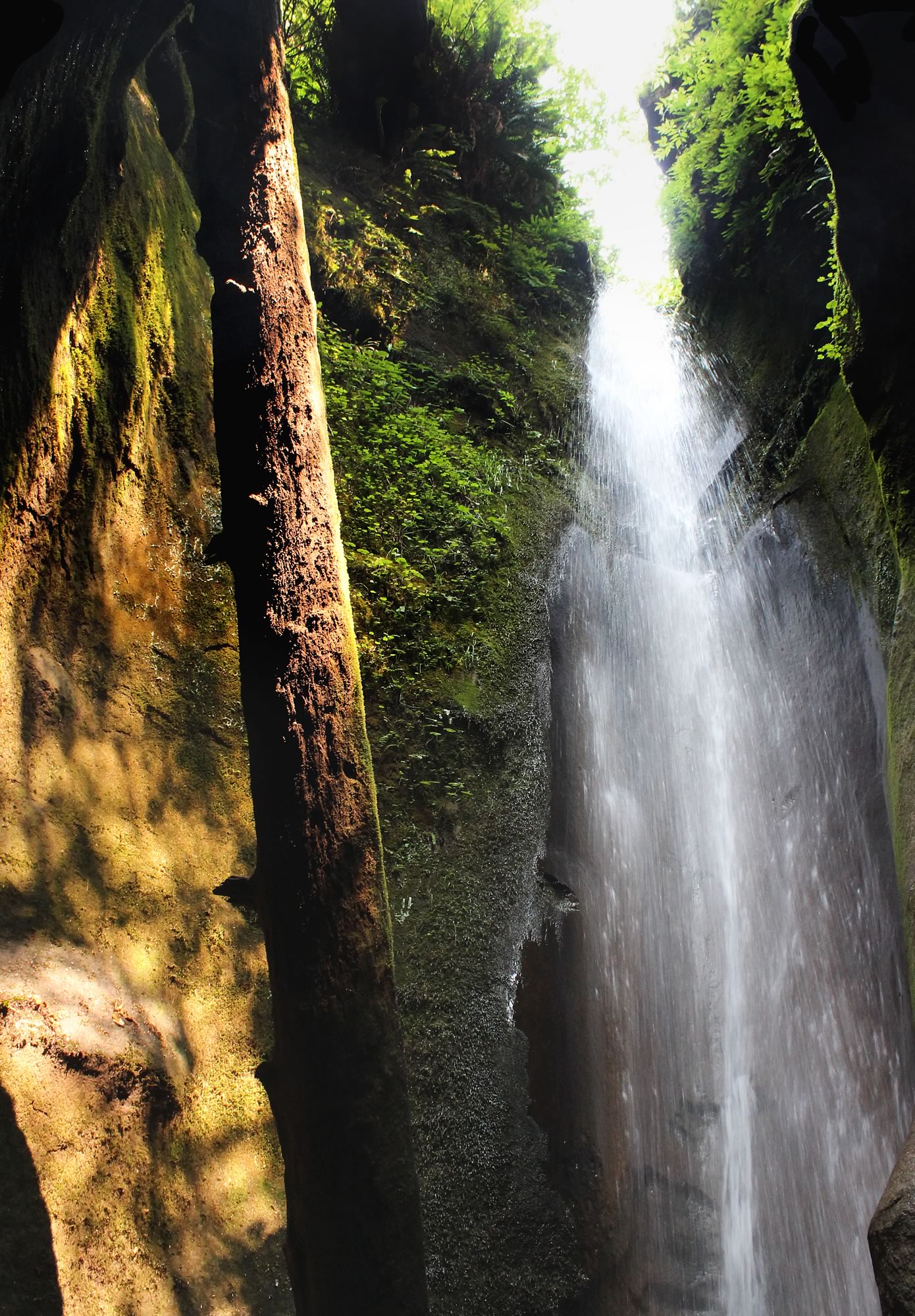 nom-mat-portfolio-vancouverisland-05