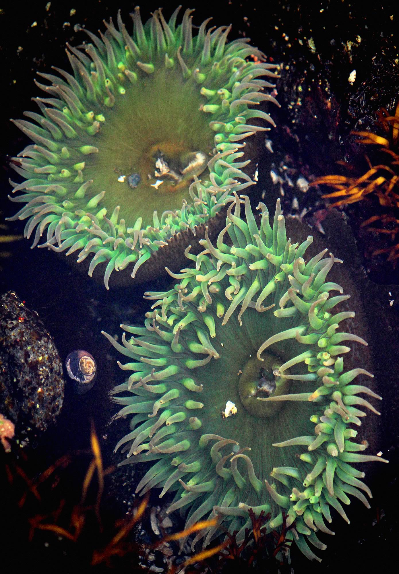 nom-mat-portfolio-vancouverisland-07