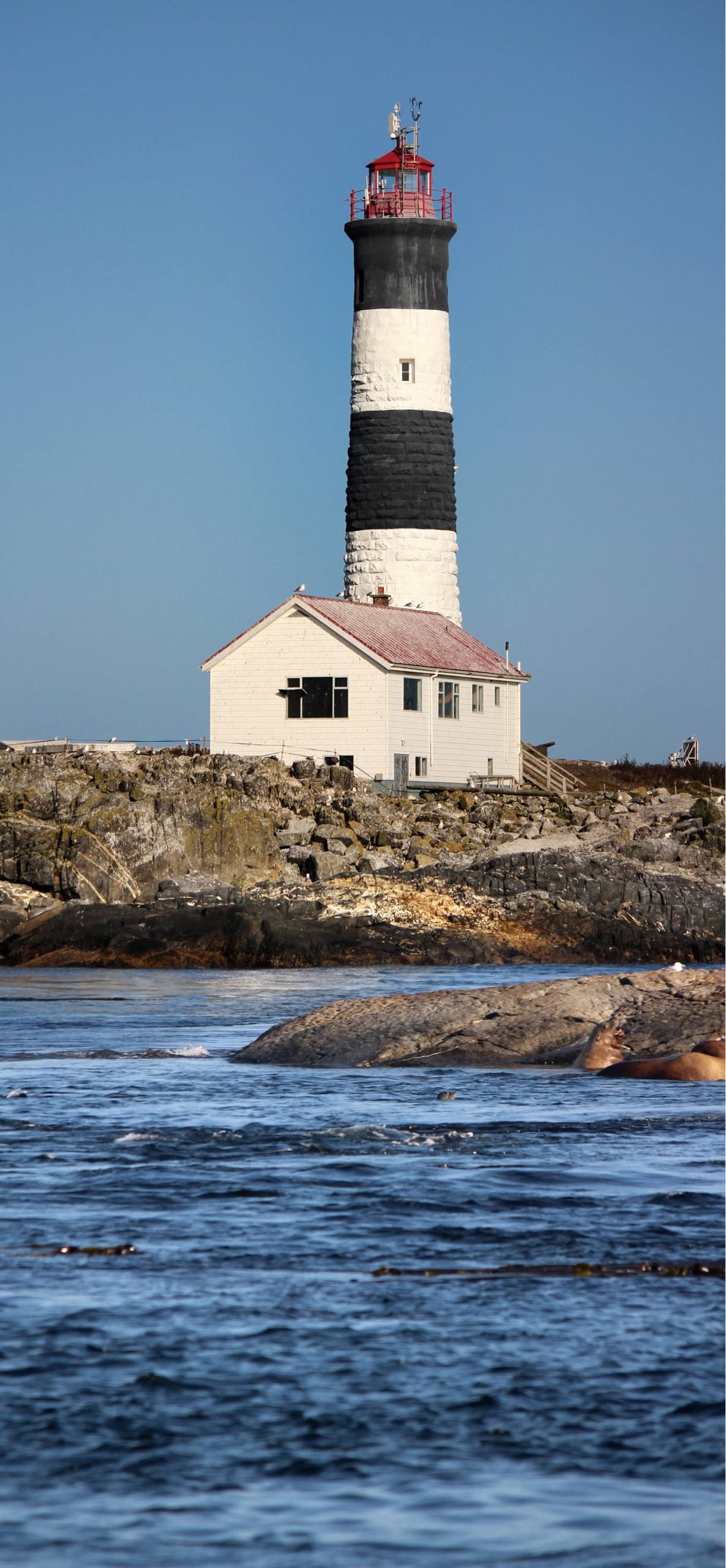 nom-mat-portfolio-vancouverisland-10