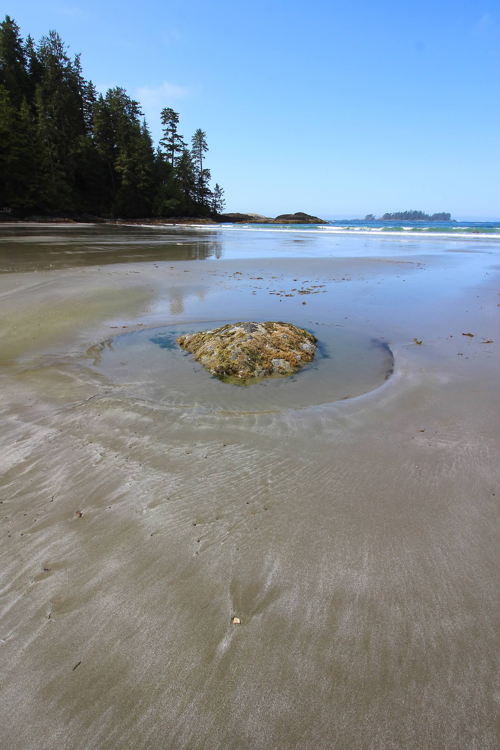 nom-mat-portfolio-vancouverisland-12