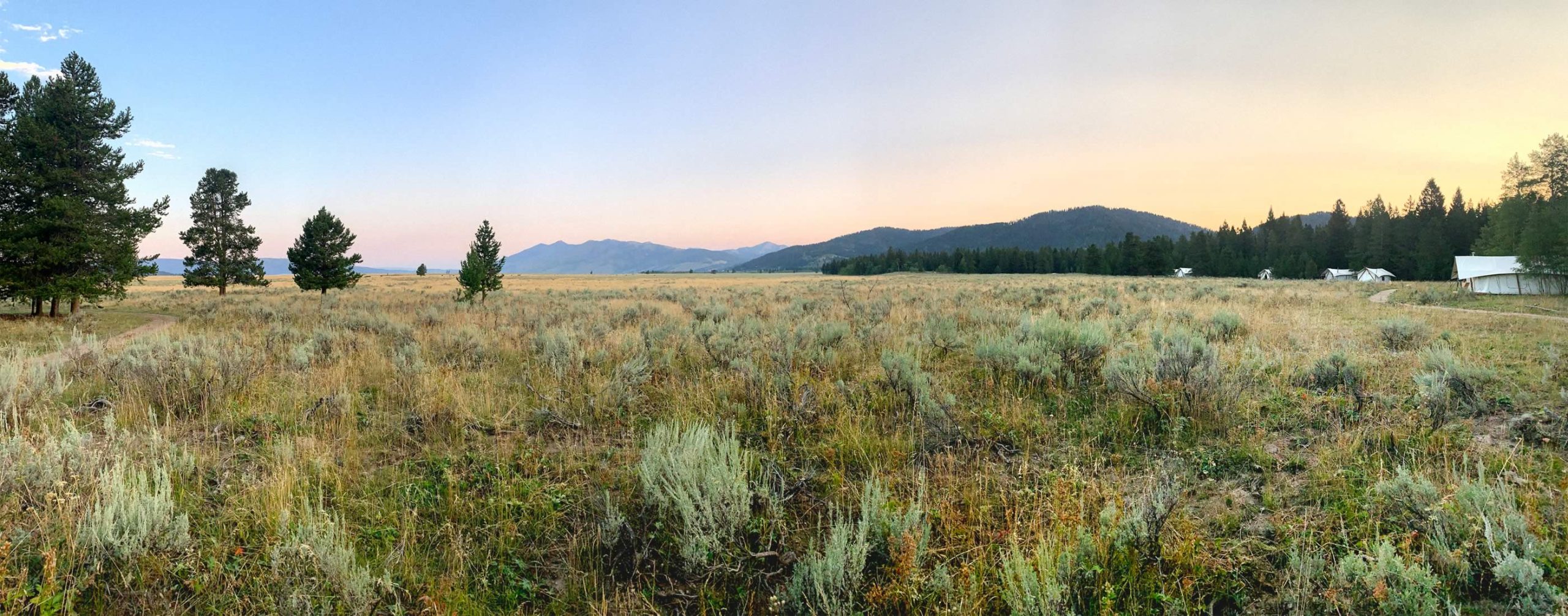 nom-mat-portfolio-yellowstone1-01