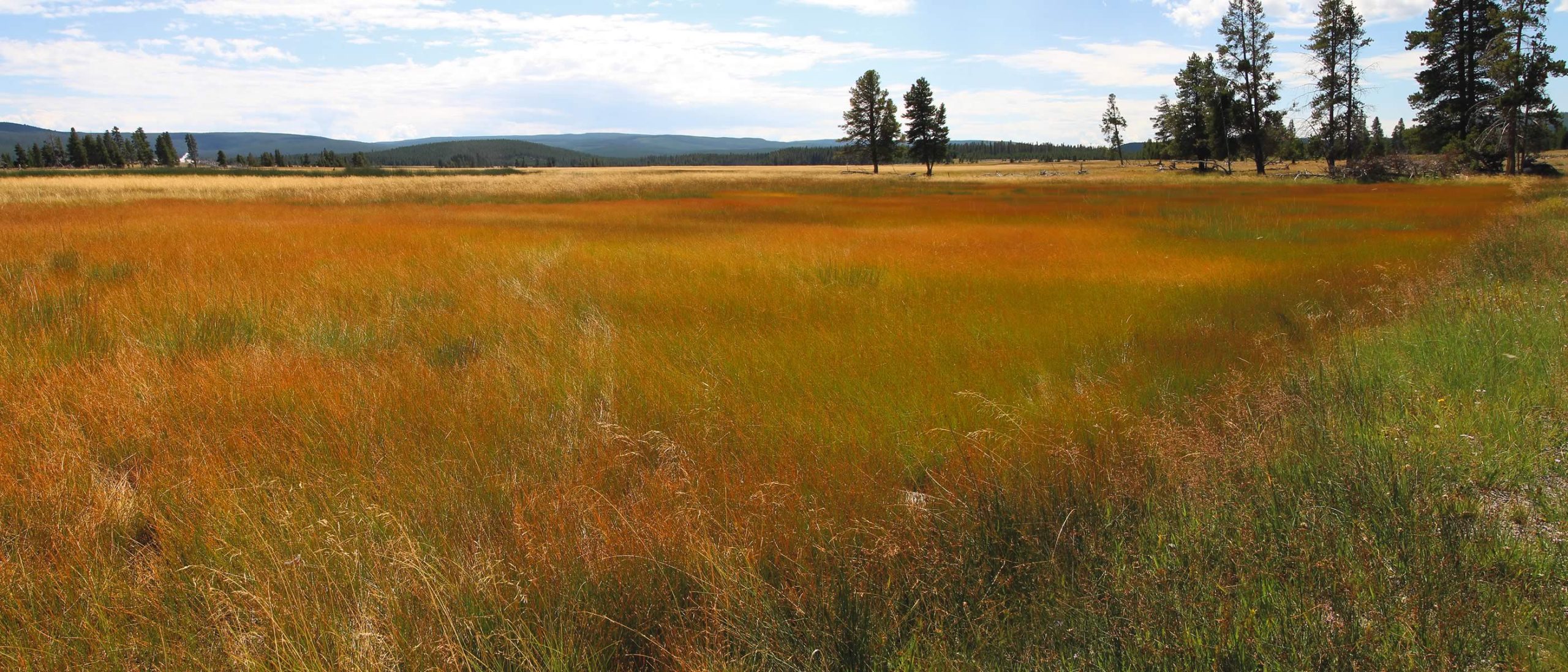 nom-mat-portfolio-yellowstone1-02