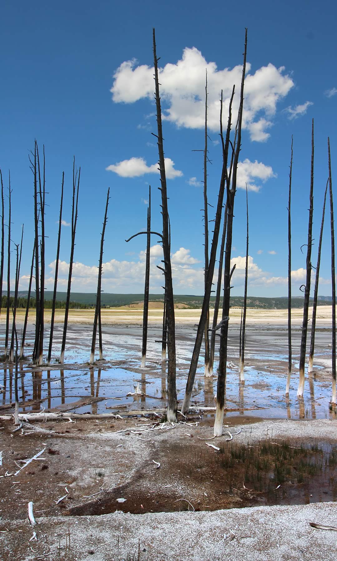 nom-mat-portfolio-yellowstone1-03