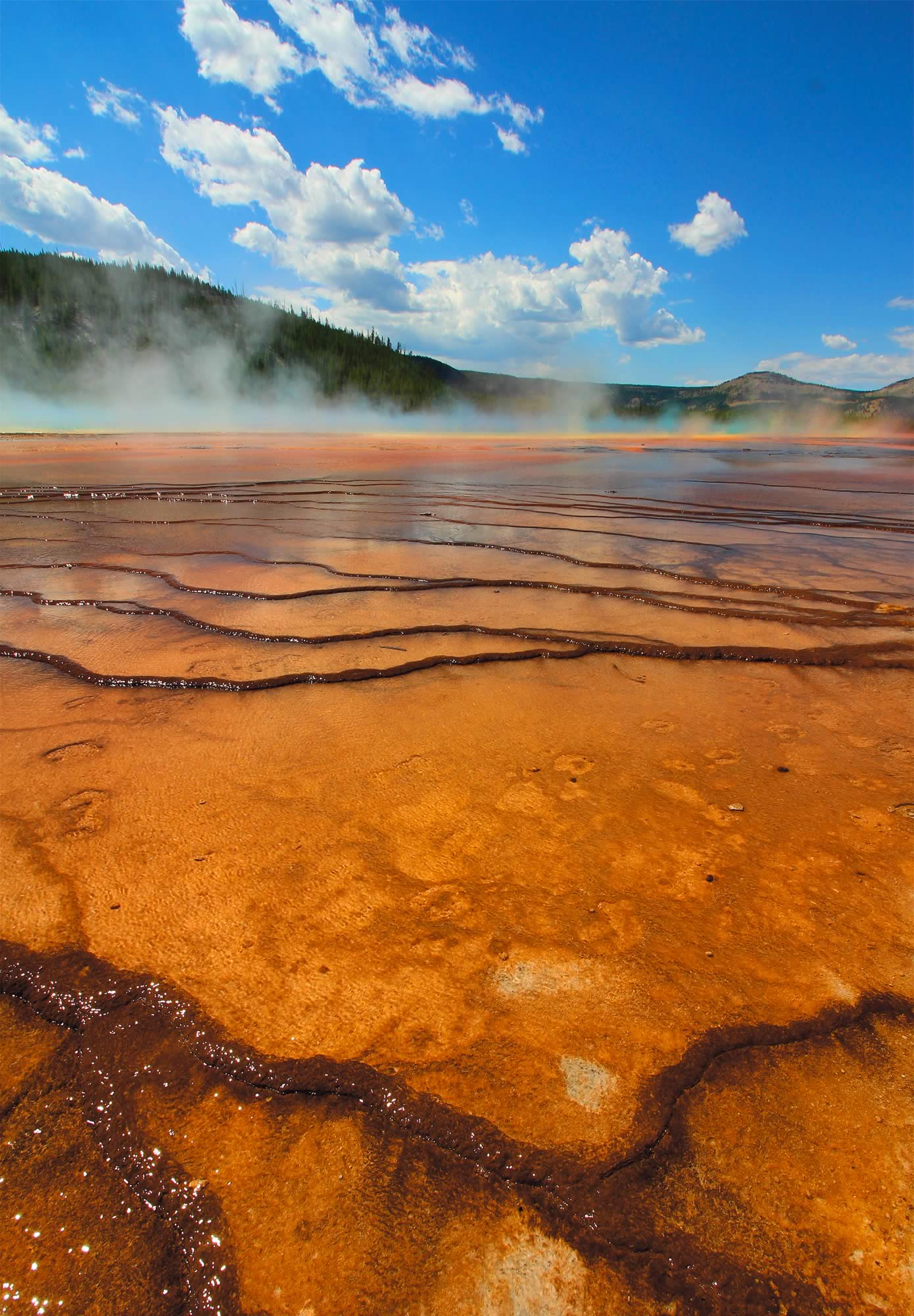 nom-mat-portfolio-yellowstone1-05