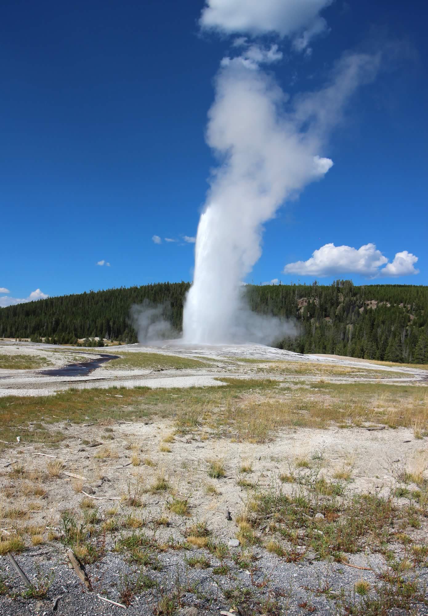 nom-mat-portfolio-yellowstone1-14