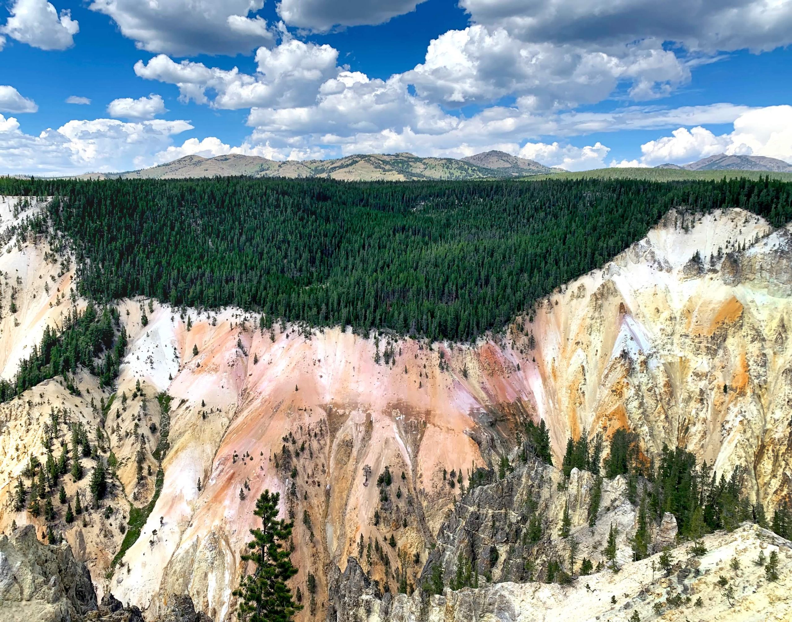 nom-mat-portfolio-yellowstone2-01