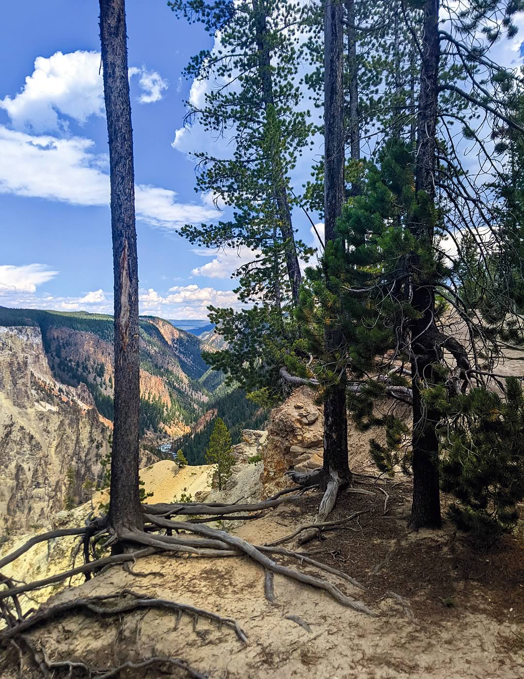 nom-mat-portfolio-yellowstone2-02