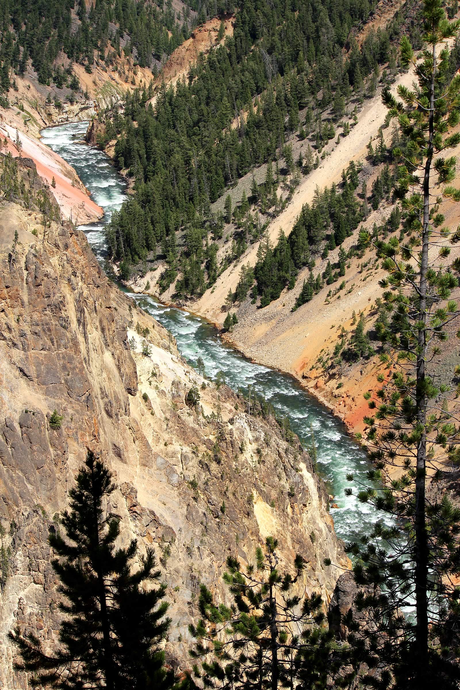 nom-mat-portfolio-yellowstone2-05