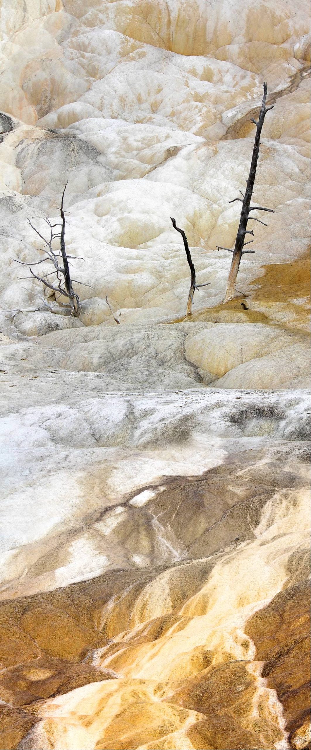 nom-mat-portfolio-yellowstone2-08