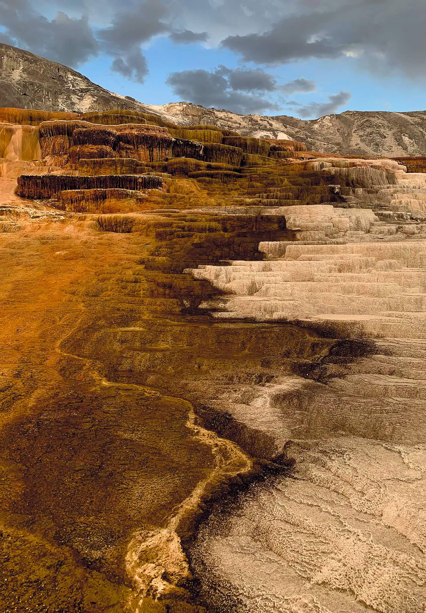 nom-mat-portfolio-yellowstone2-09