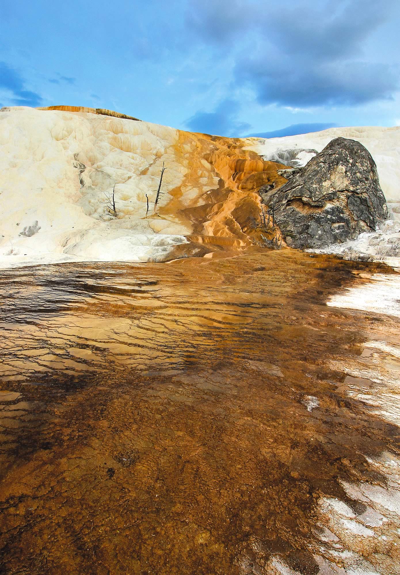 nom-mat-portfolio-yellowstone2-10