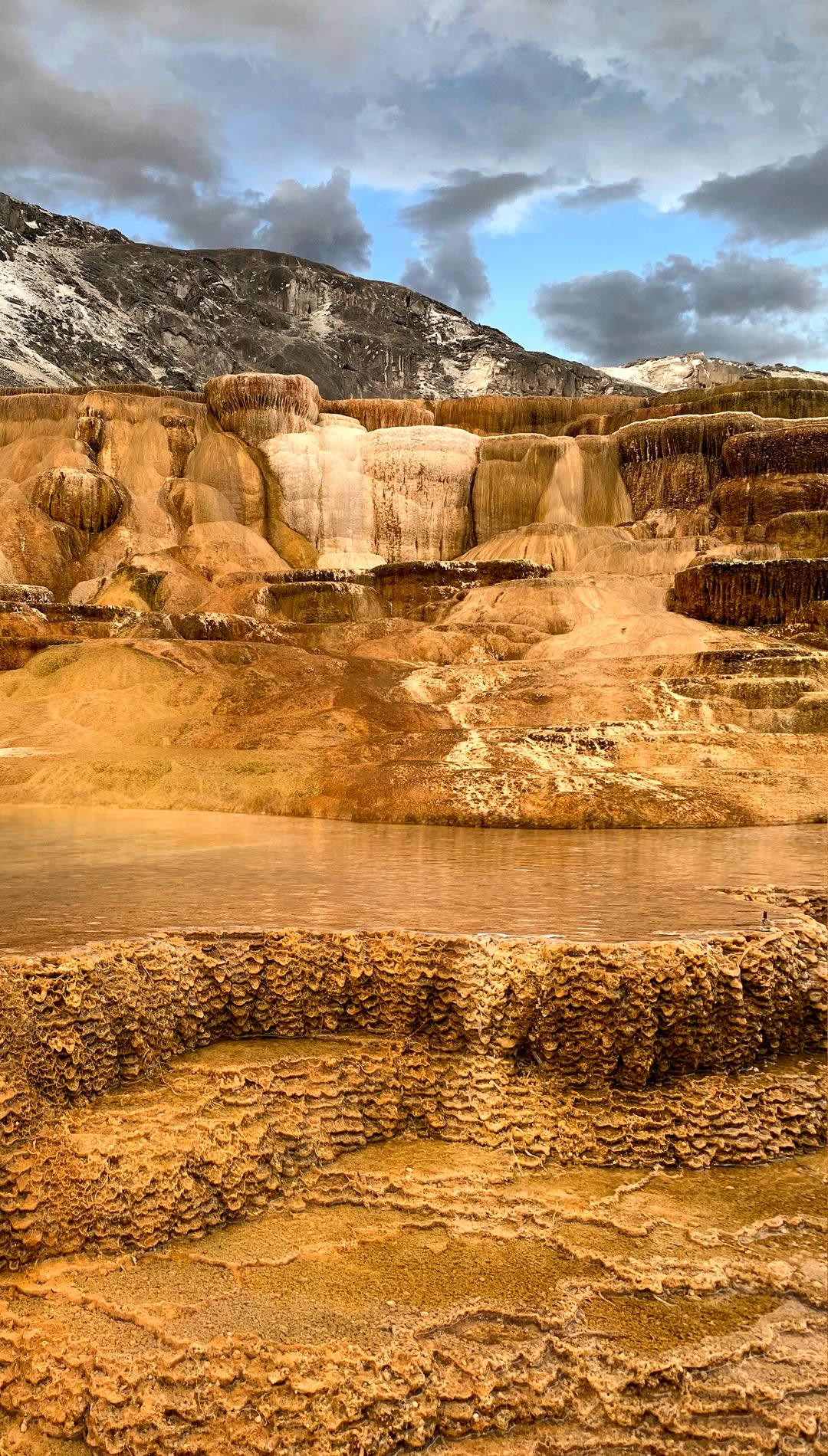 nom-mat-portfolio-yellowstone2-11