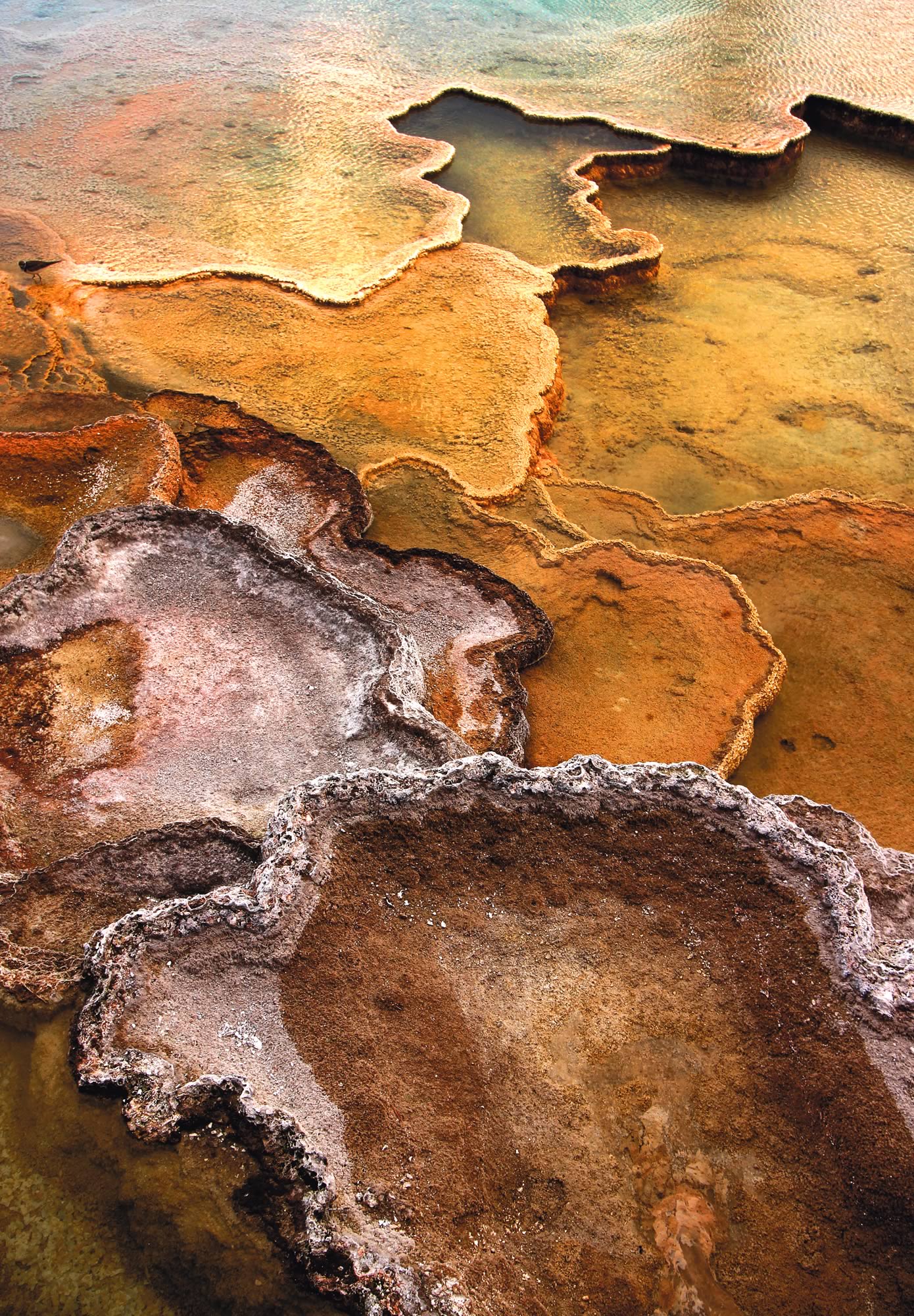 nom-mat-portfolio-yellowstone2-12