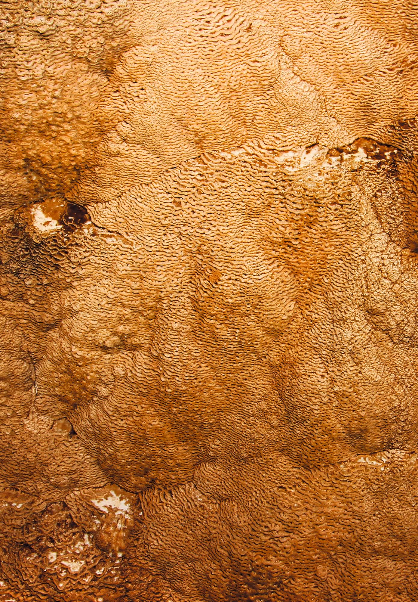 nom-mat-portfolio-yellowstone2-13