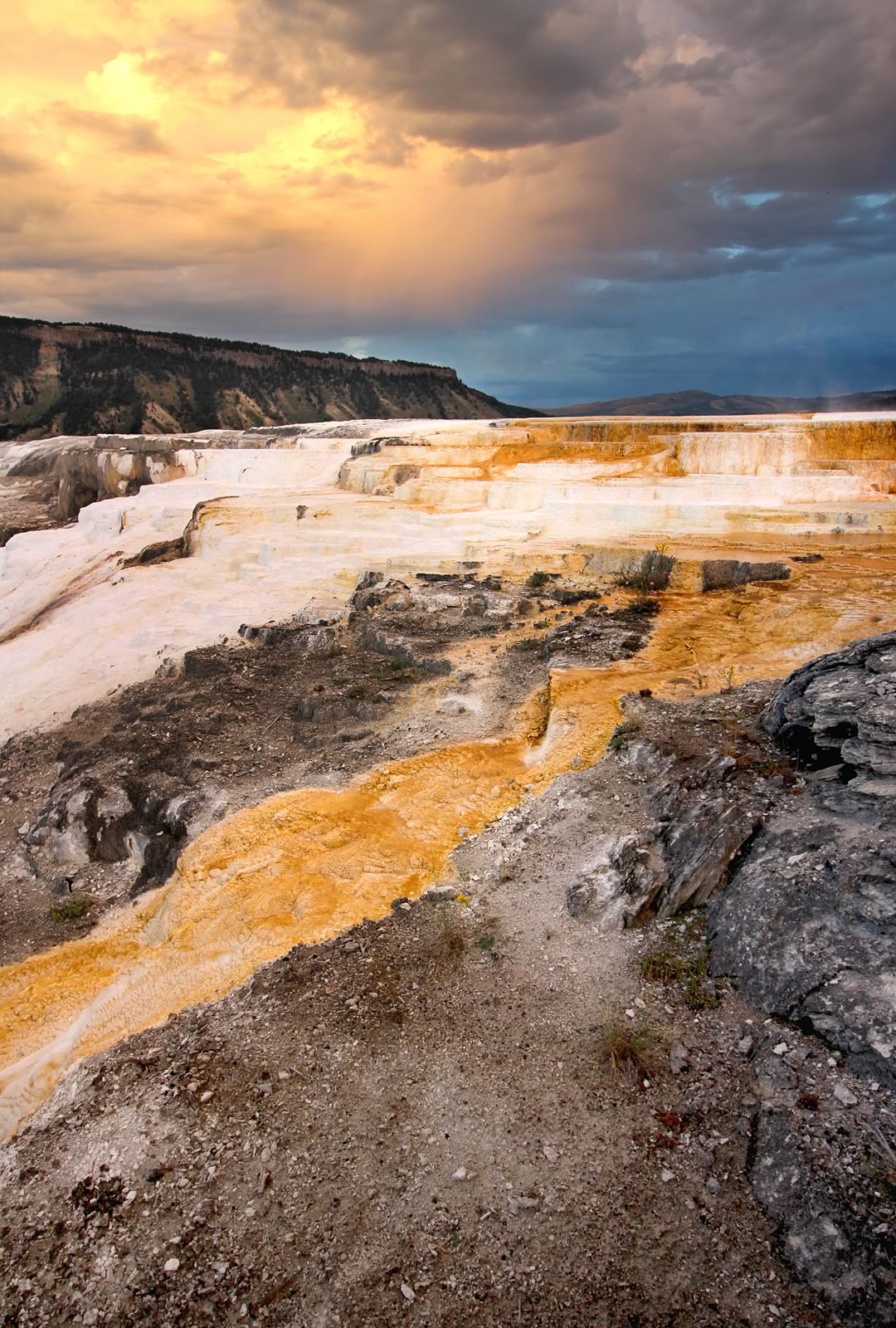 nom-mat-portfolio-yellowstone2-15
