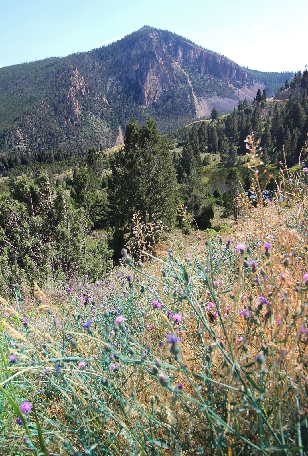 nom-mat-portfolio-yellowstone3-02