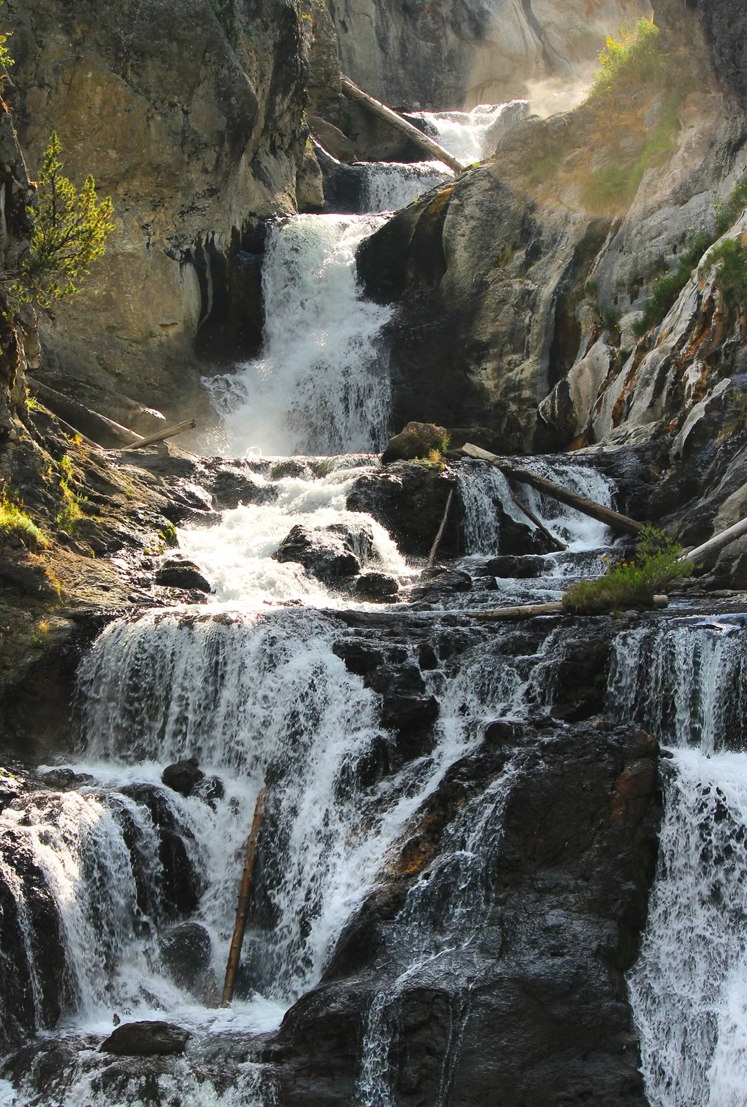 nom-mat-portfolio-yellowstone3-07