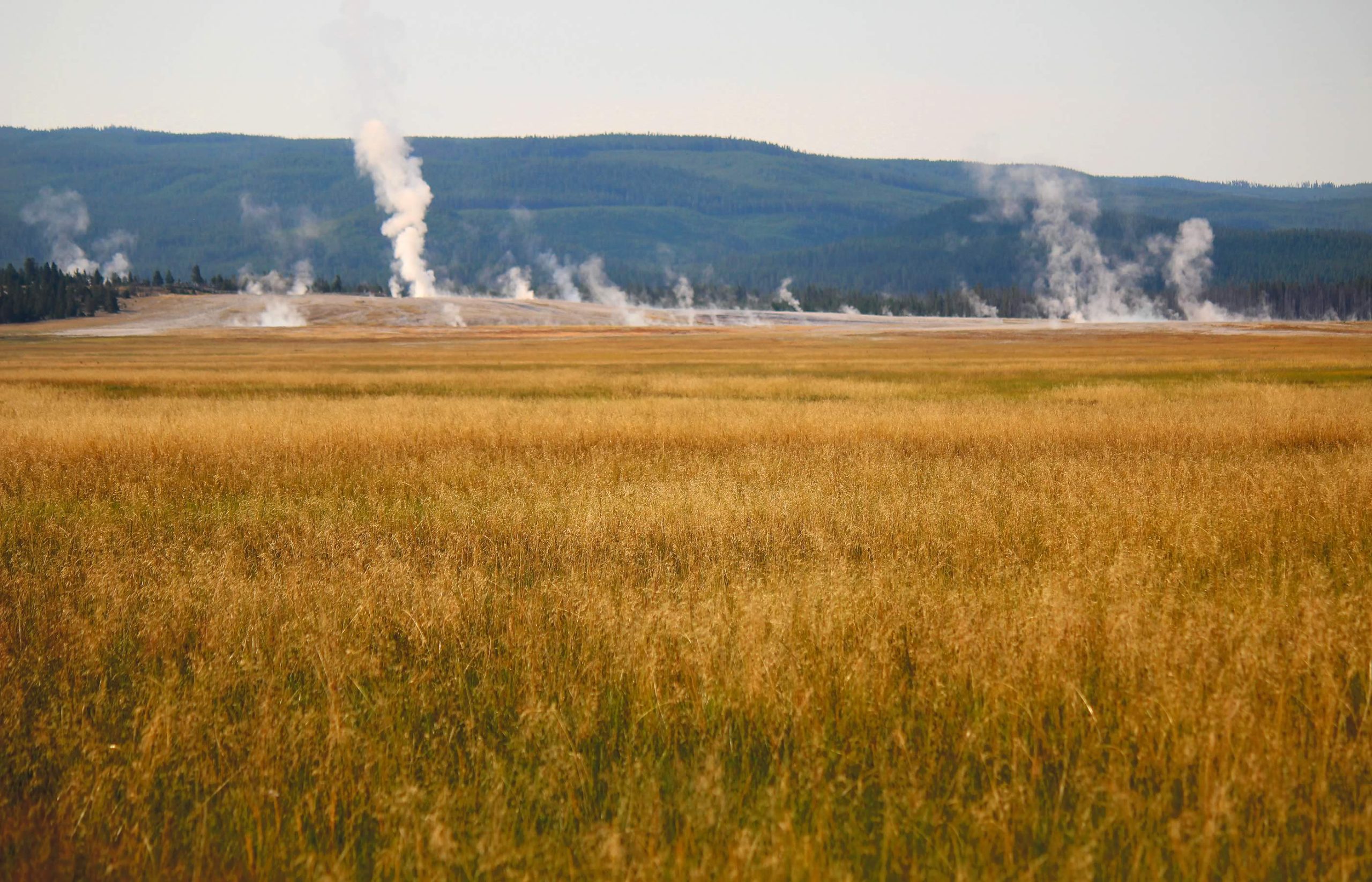 nom-mat-portfolio-yellowstone3-09