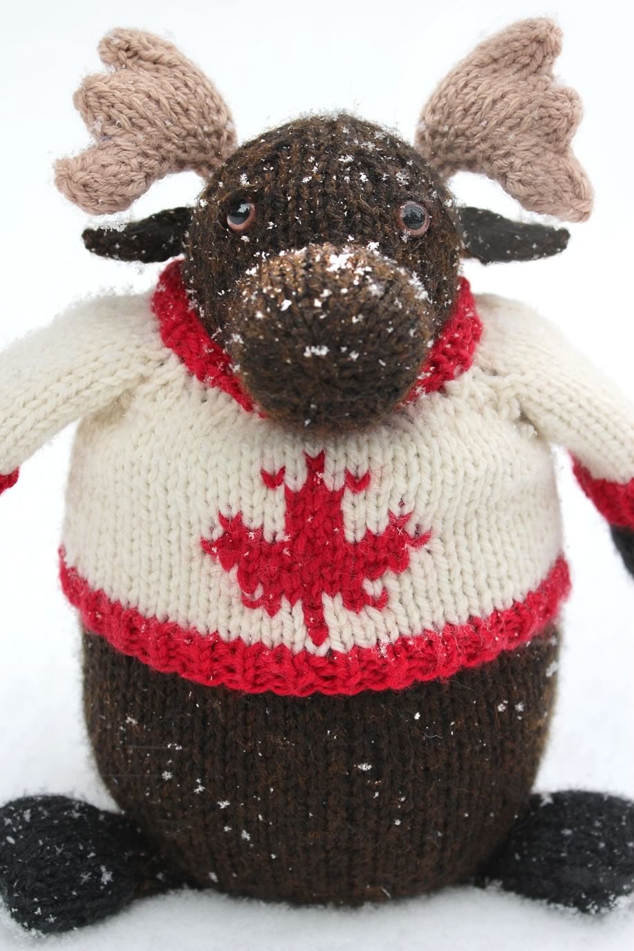 Lou the Elusive Moose