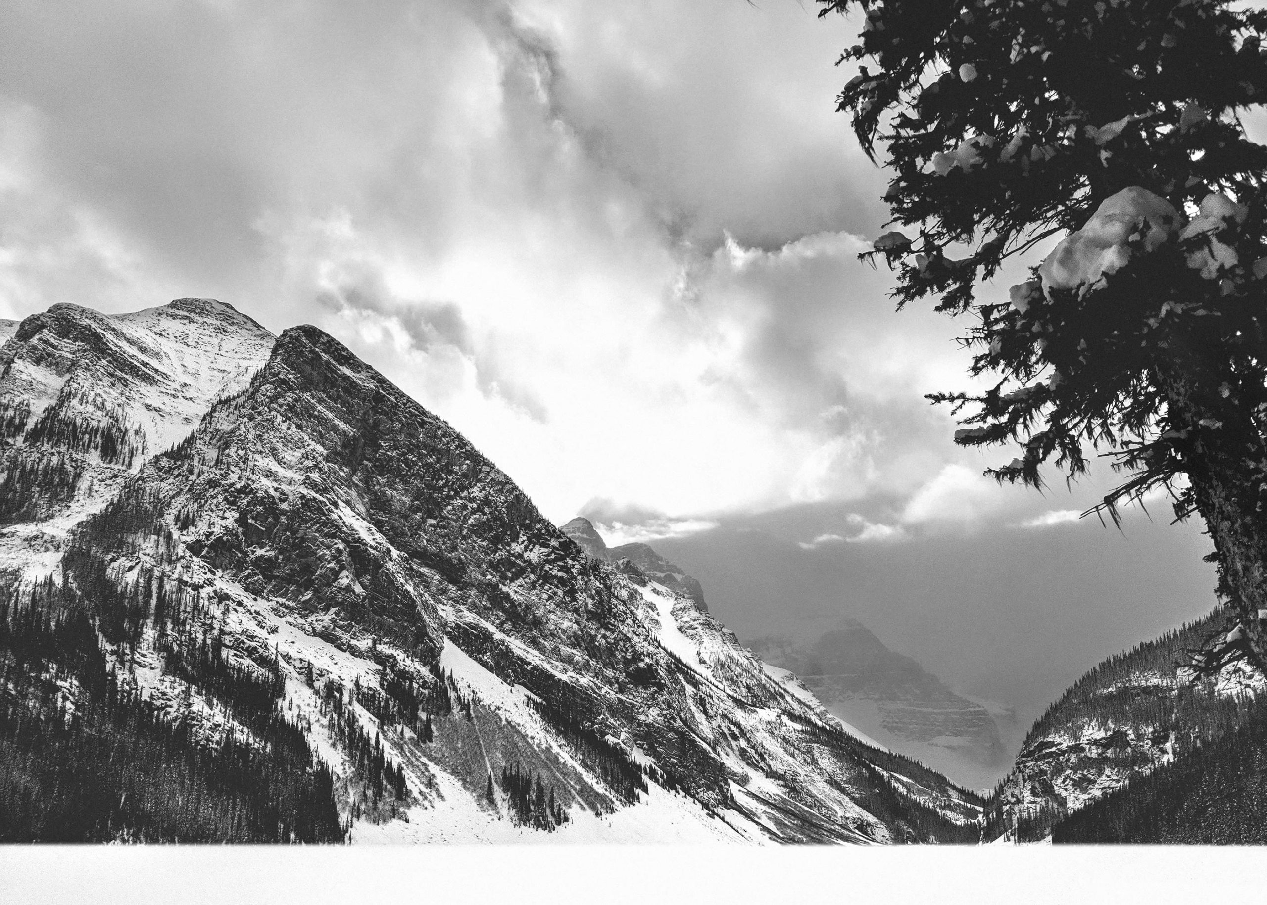 nom-mat-portfolio-banff-01