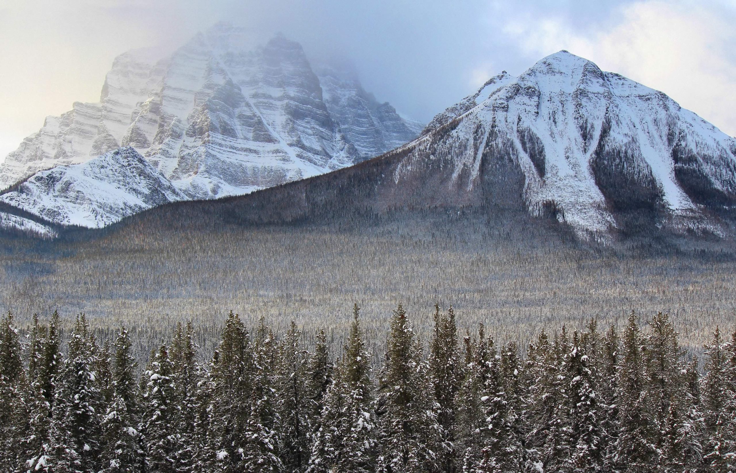 nom-mat-portfolio-banff-02