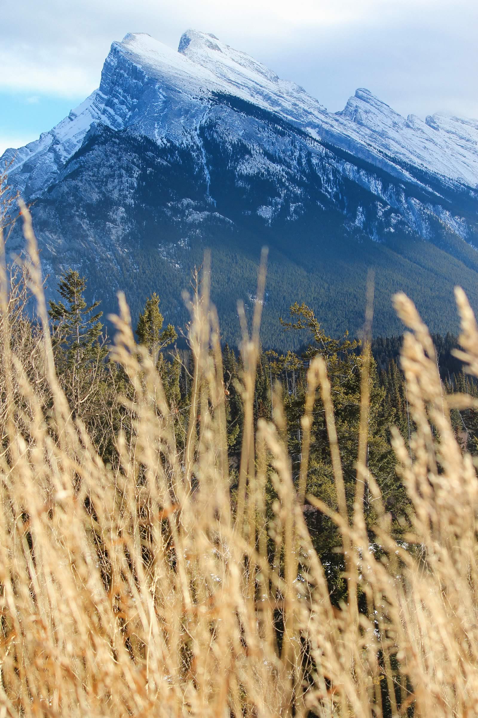 nom-mat-portfolio-banff-07