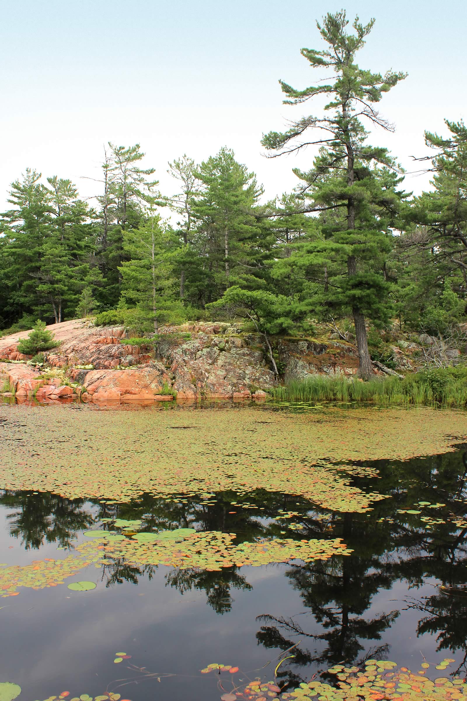 nom-mat-portfolio-killarney-07