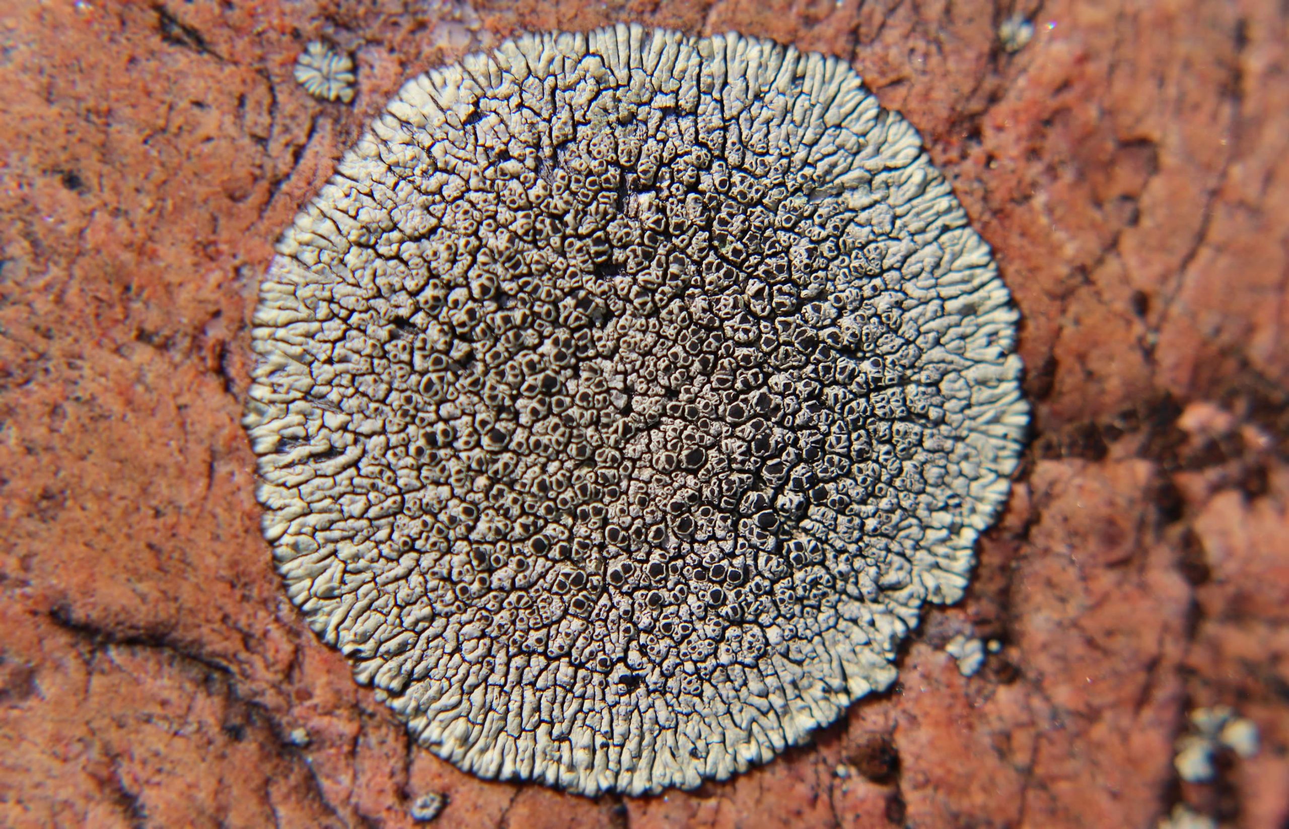 nom-mat-portfolio-killarney-08