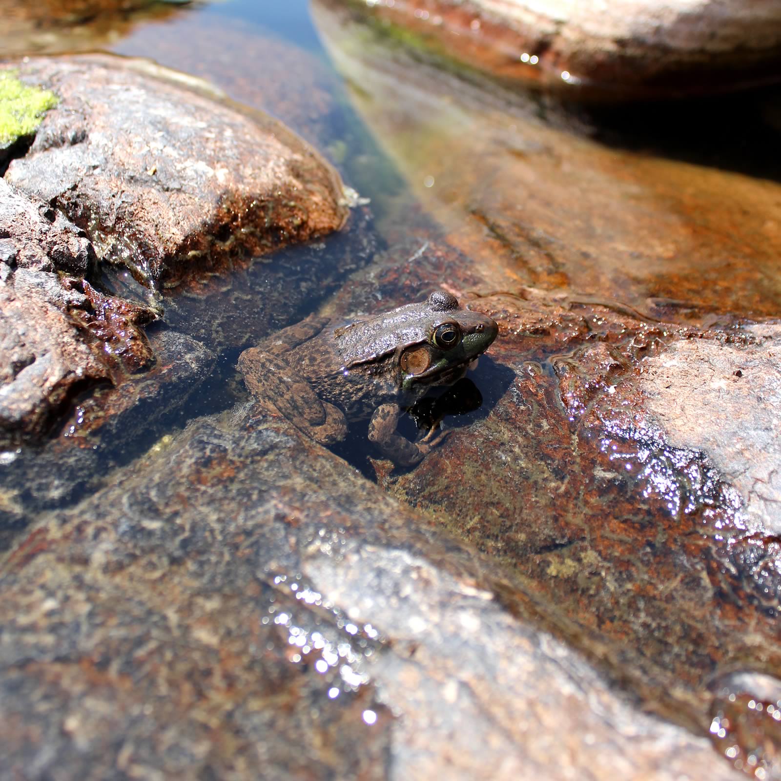 nom-mat-portfolio-killarney-09