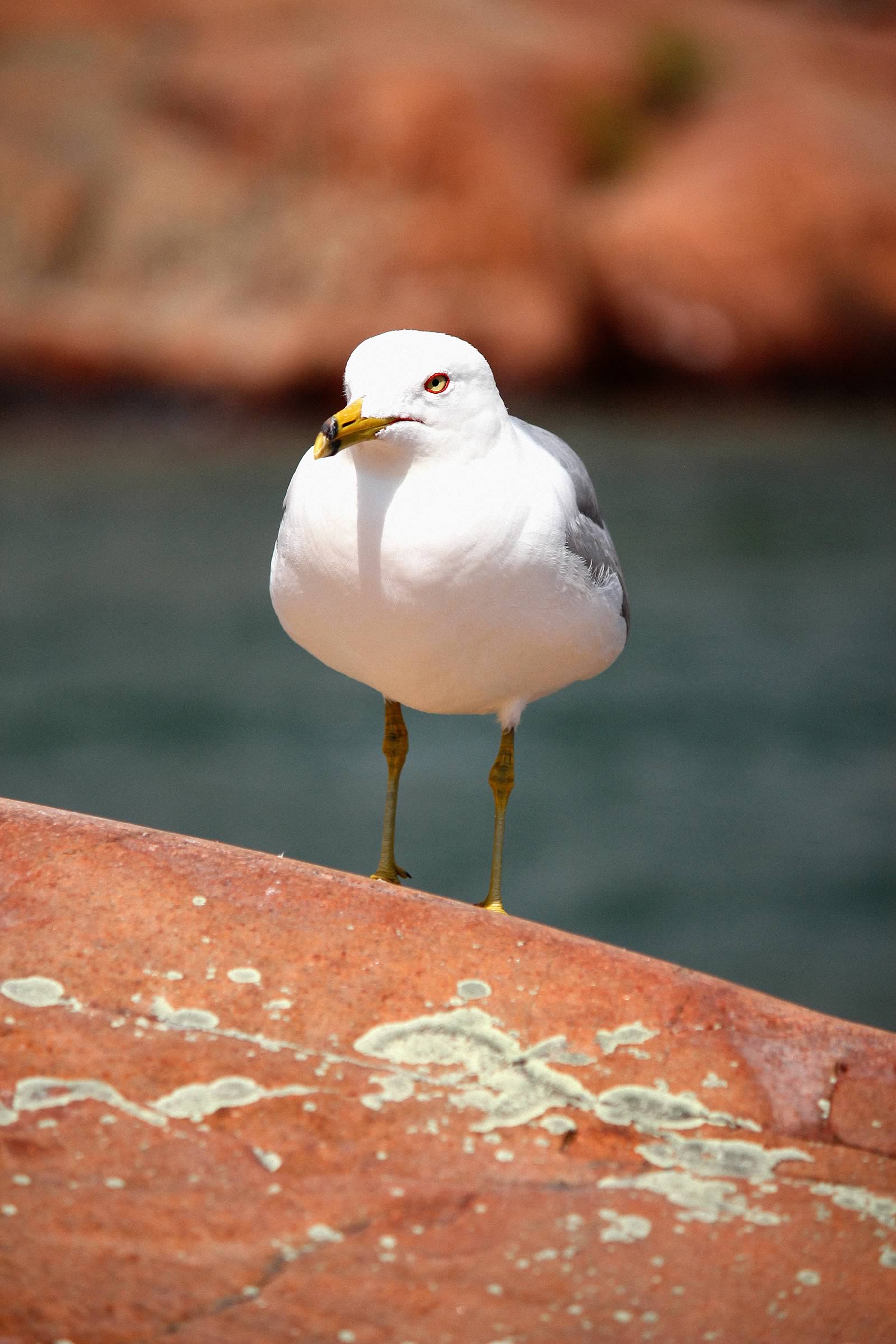 nom-mat-portfolio-killarney-10