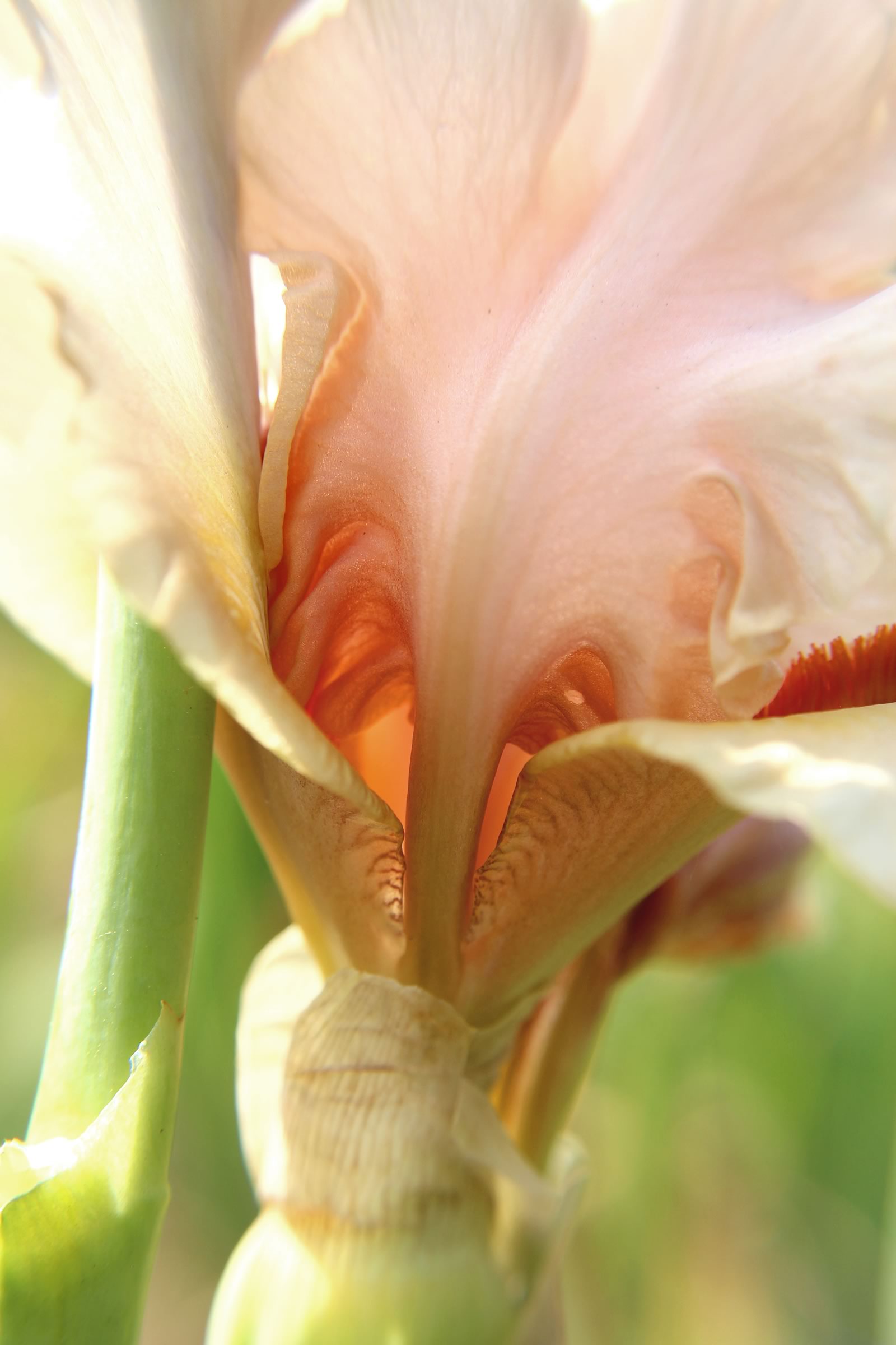 nom-mat-portfolio-smallgreen_12