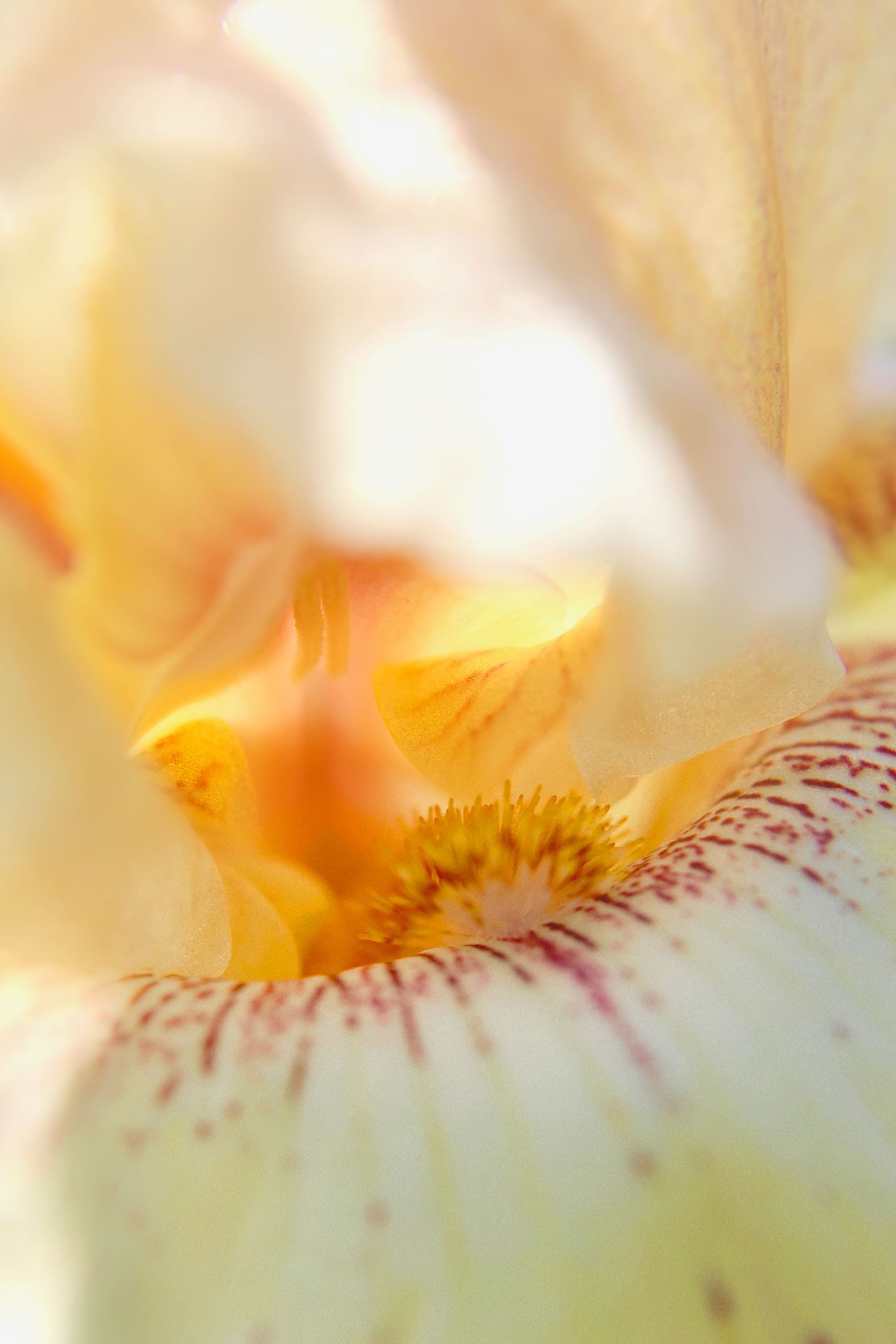 nom-mat-portfolio-smallgreen_13