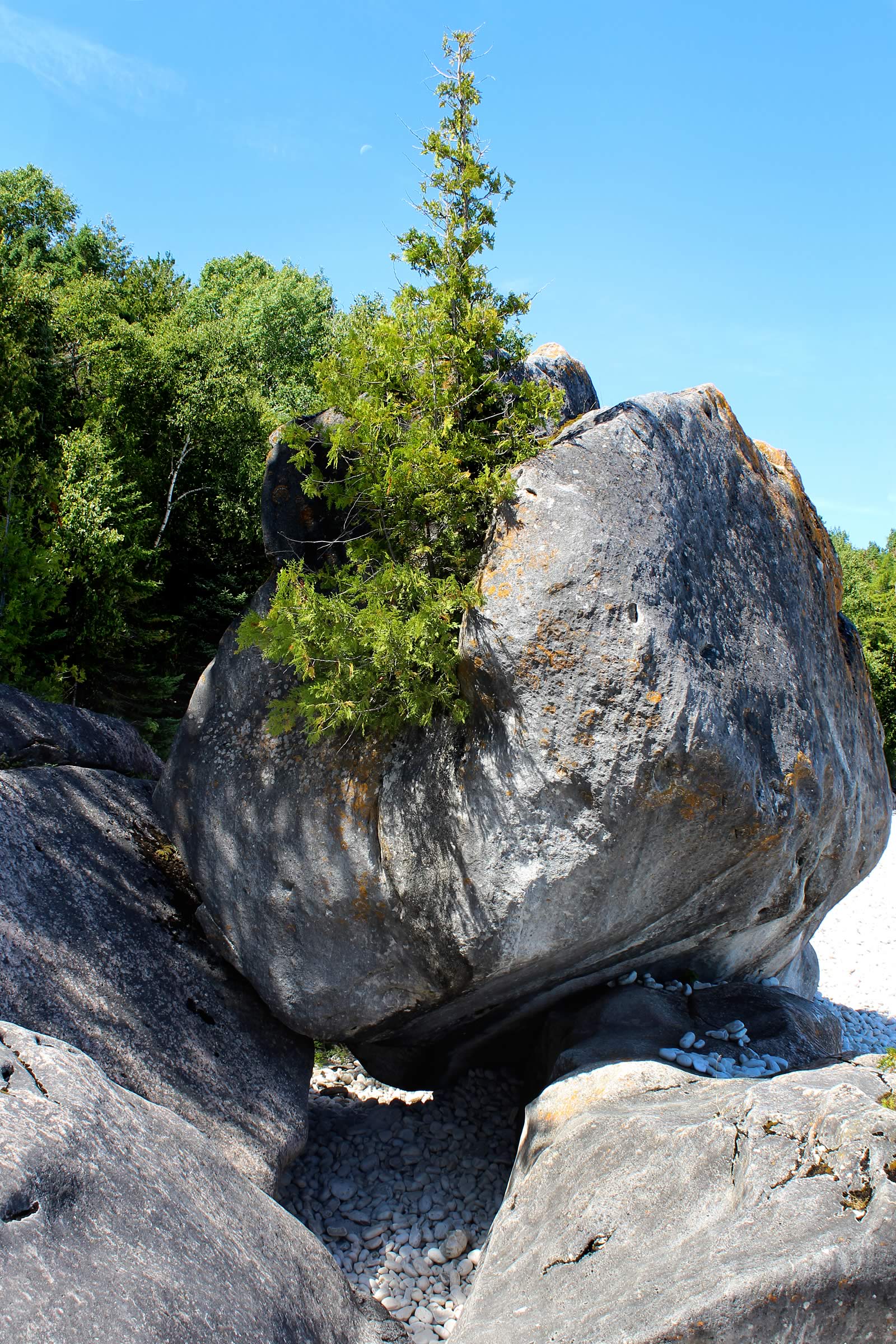 nom-mat-portfolio-tobermory-06