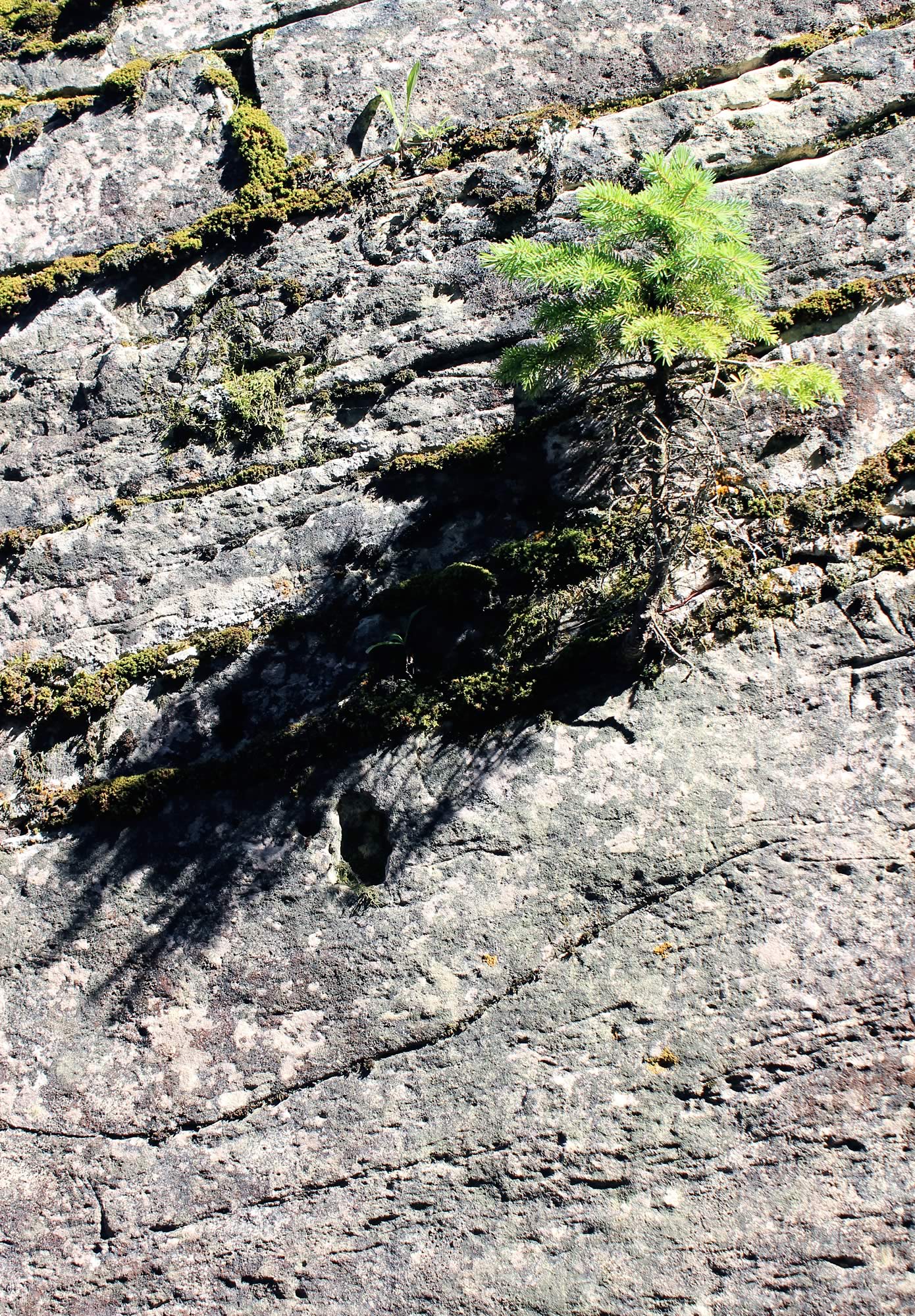 nom-mat-portfolio-tobermory-07