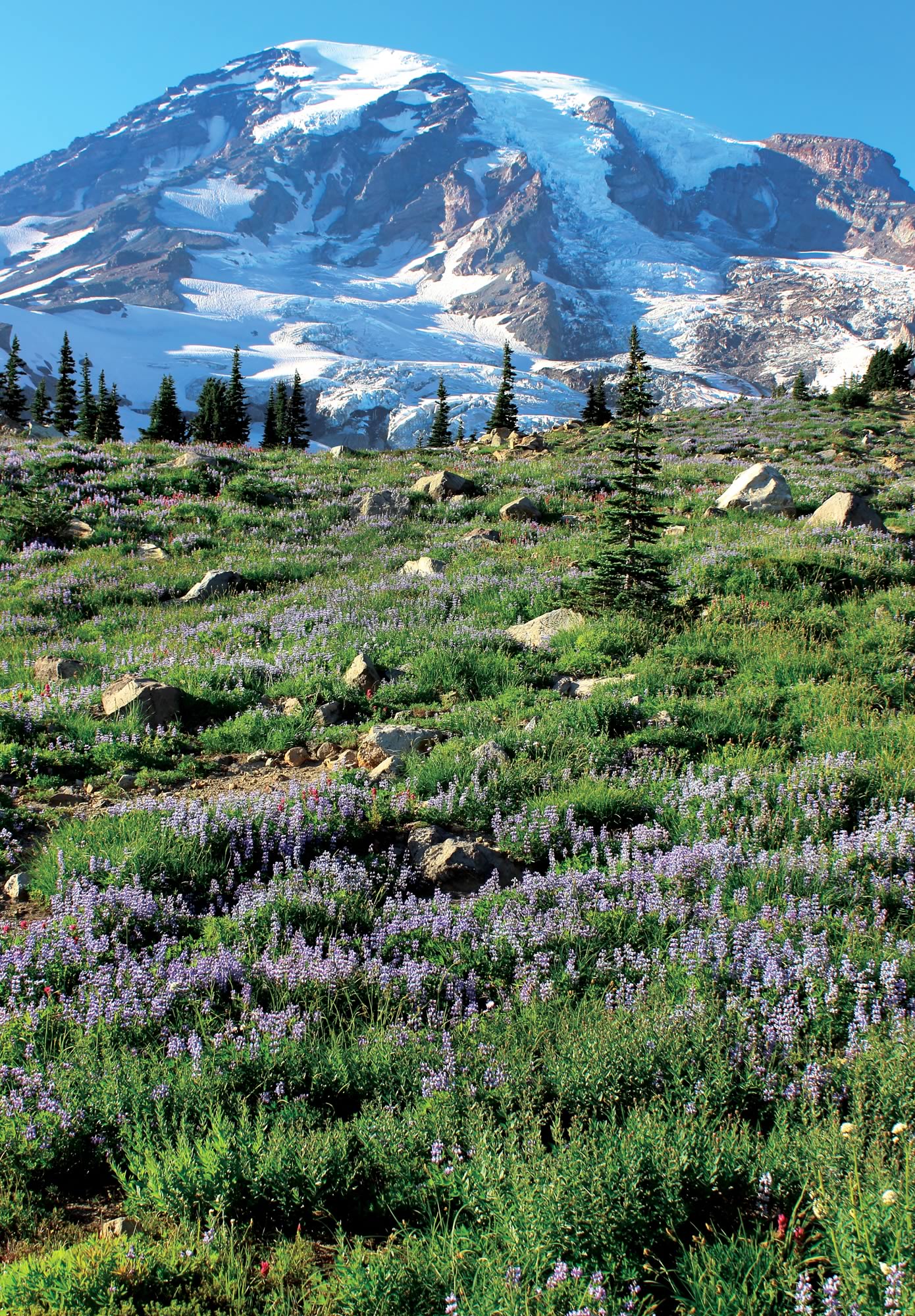 nom-mat-portfolio-westcoast-06