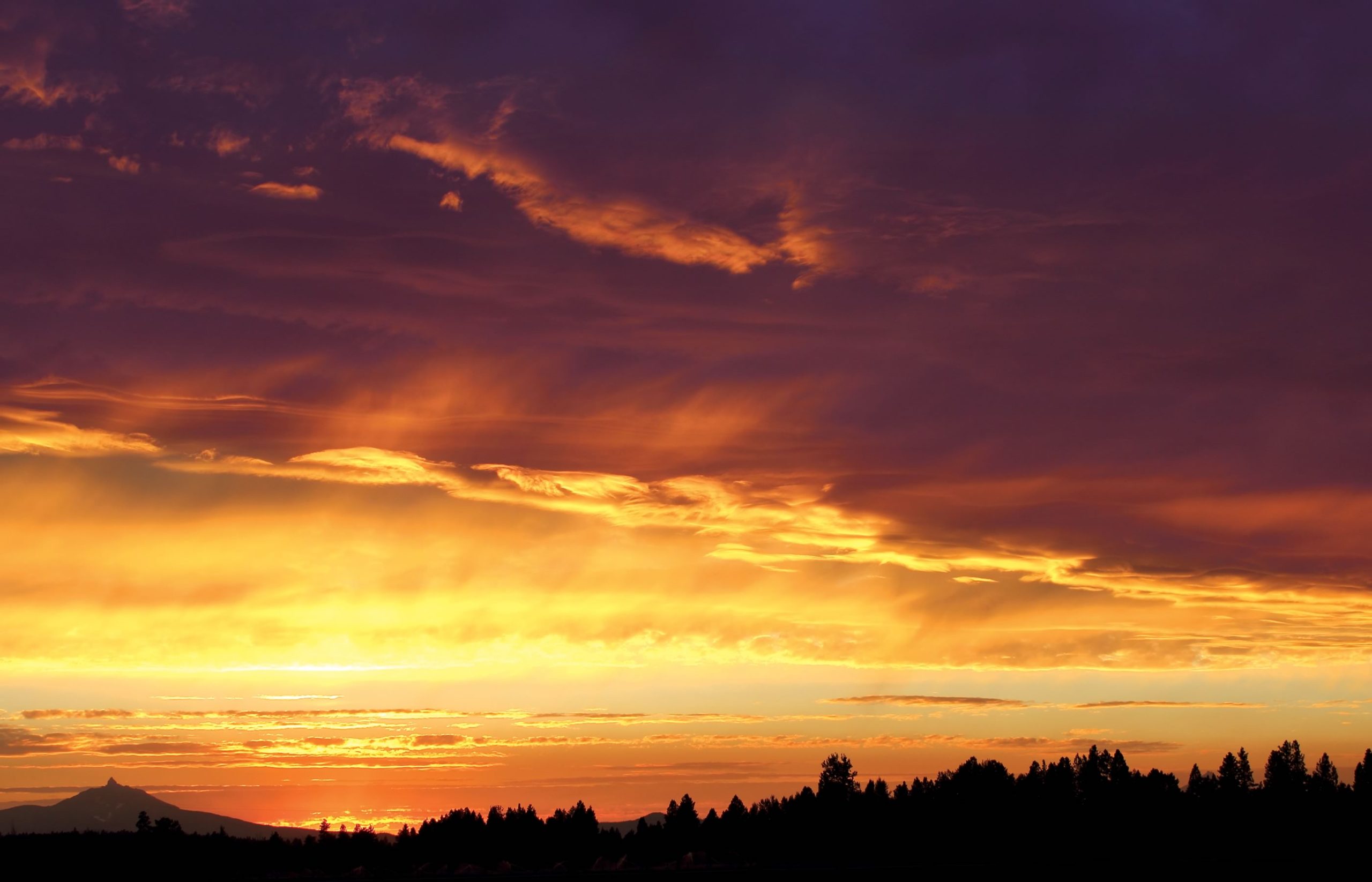 nom-mat-portfolio-westcoast-09