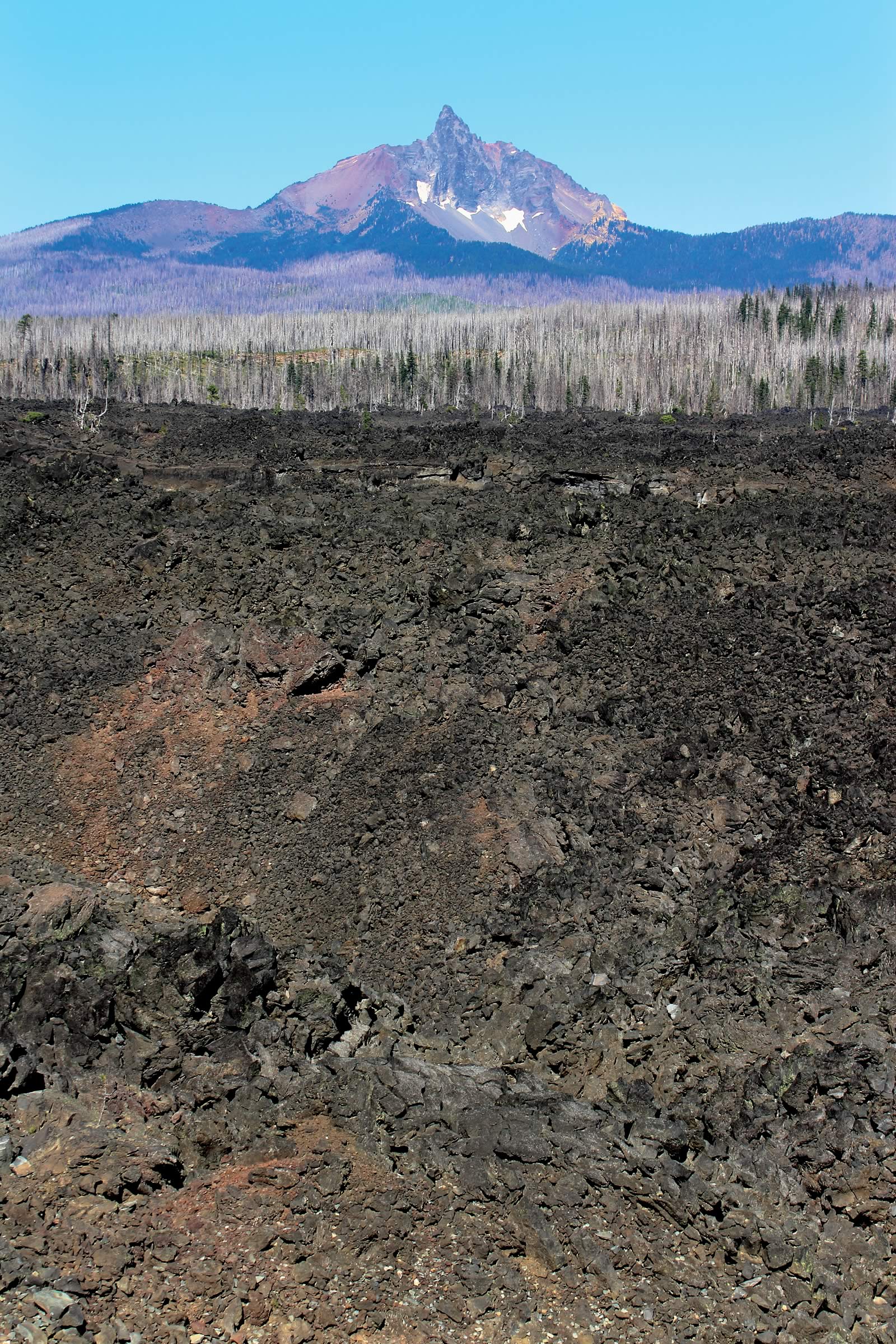 nom-mat-portfolio-westcoast-10