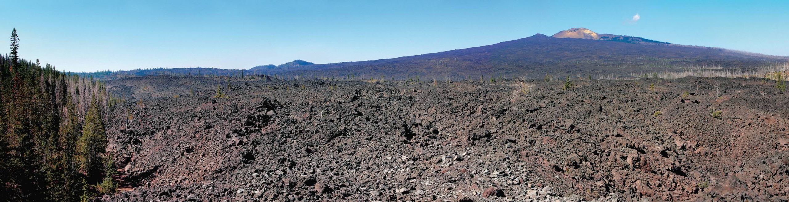 nom-mat-portfolio-westcoast-12