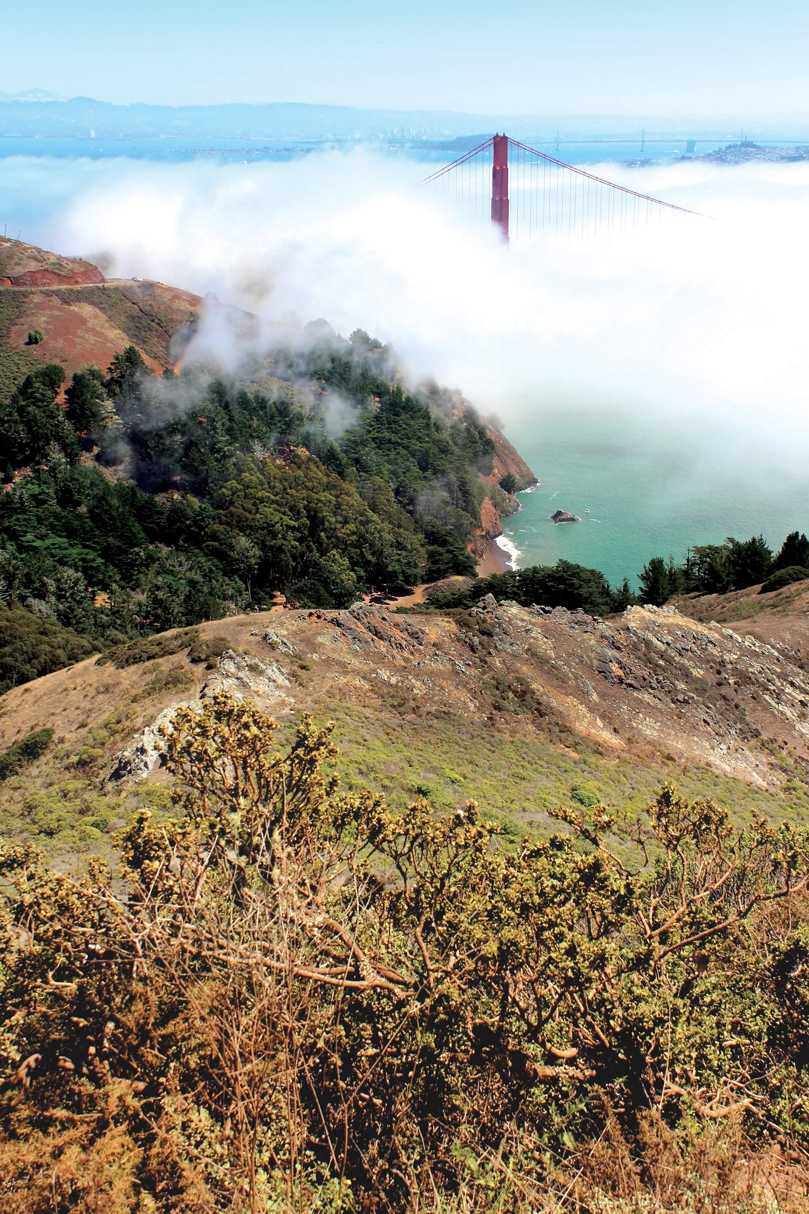 nom-mat-portfolio-westcoast-14