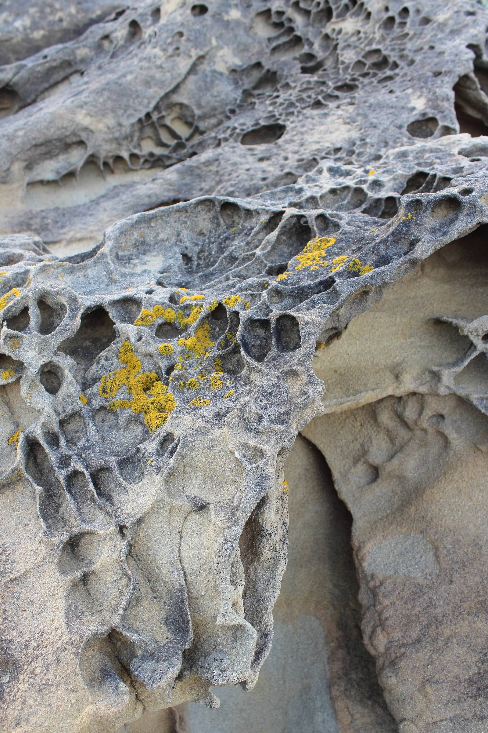 nom-mat-portfolio-westcoast-16