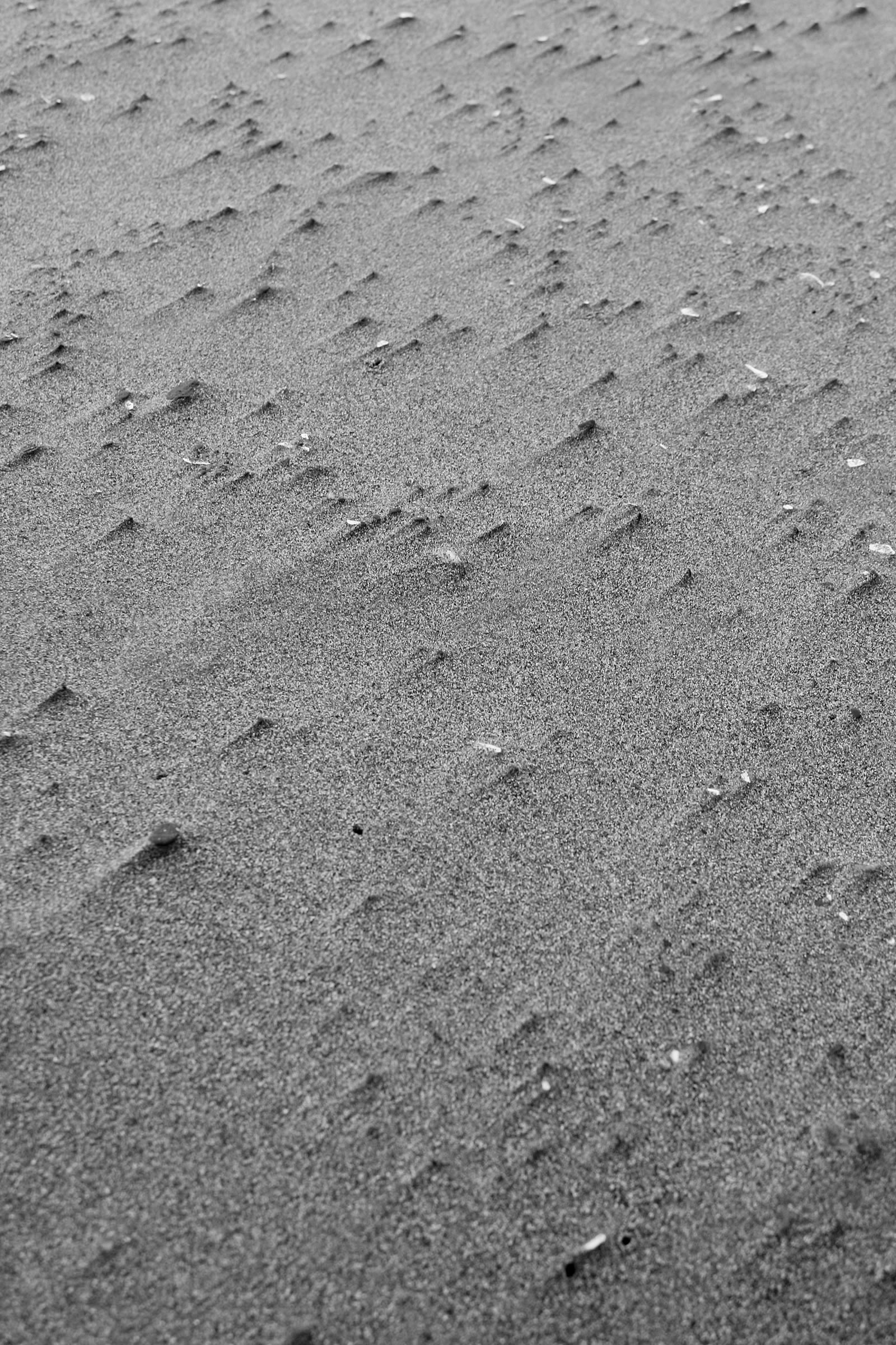 nom-mat-portfolio-westcoast-17