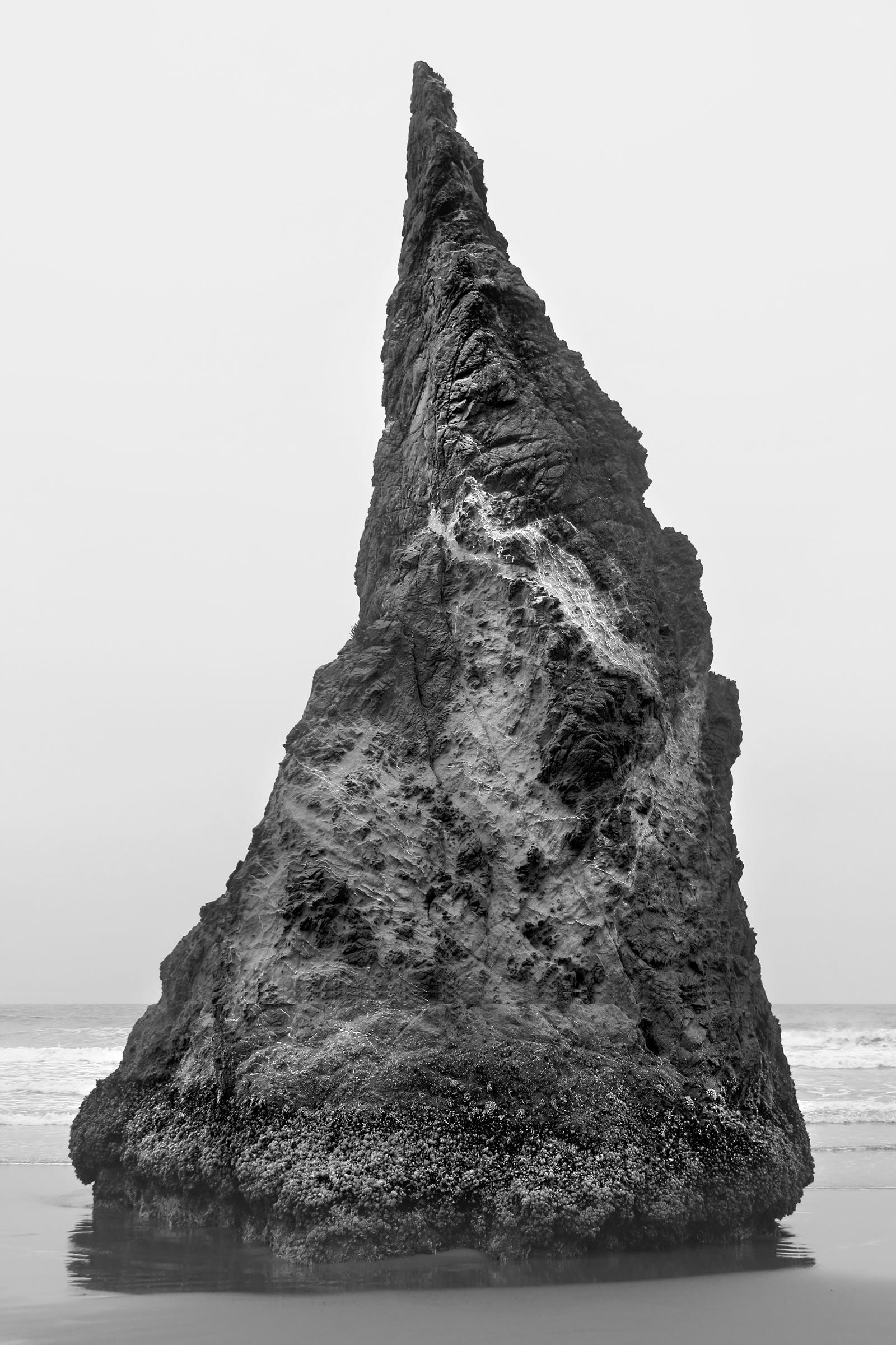 nom-mat-portfolio-westcoast-18